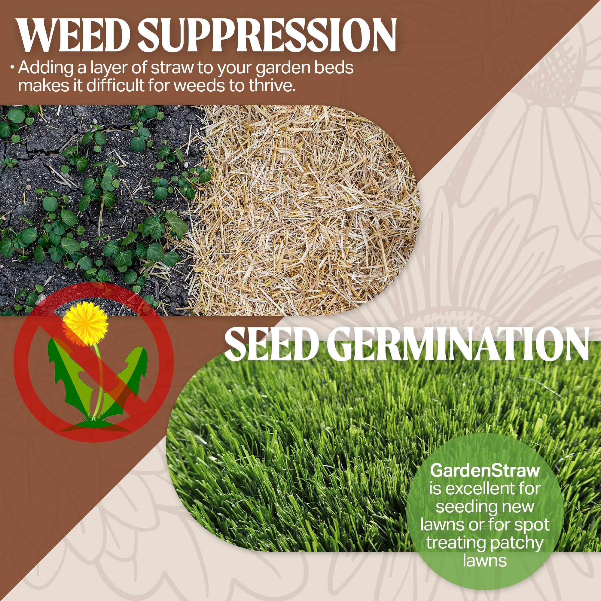 HealthiStraw GardenStraw – All-Natural, Clean, Sustainable Garden Straw Mulch for Gardens and Grass Seeding, 3 cu ft