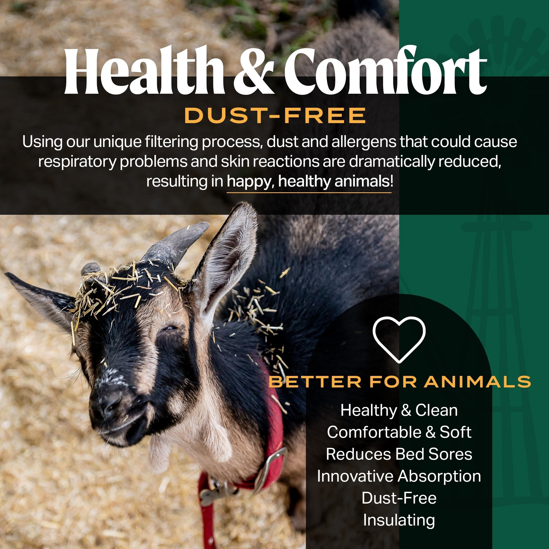 HealthiStraw FarmStraw Coarse Cut – All-Natural, Clean Animal Straw Bedding for Hobby Farms, Small Pets, 3 cu ft (Covers up to 12 cu ft)