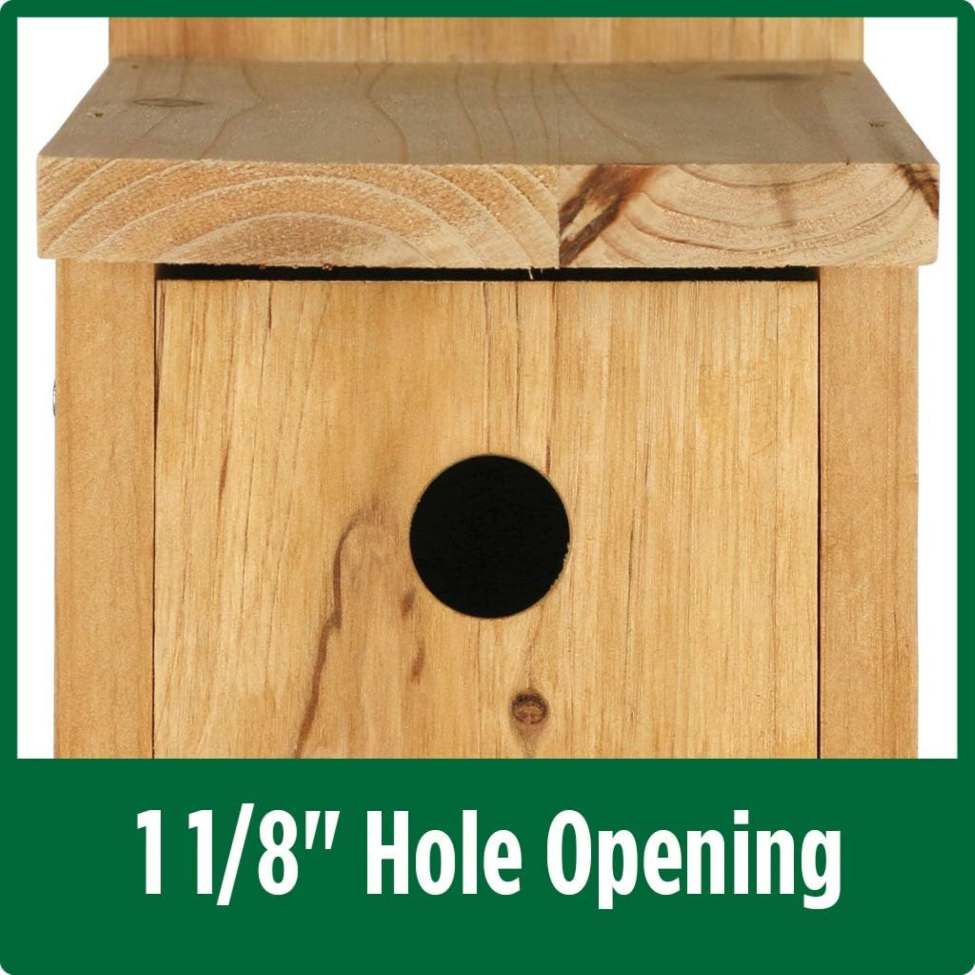 Wild Wings Cedar Box Wren House – Durable Shelter with Easy-Clean