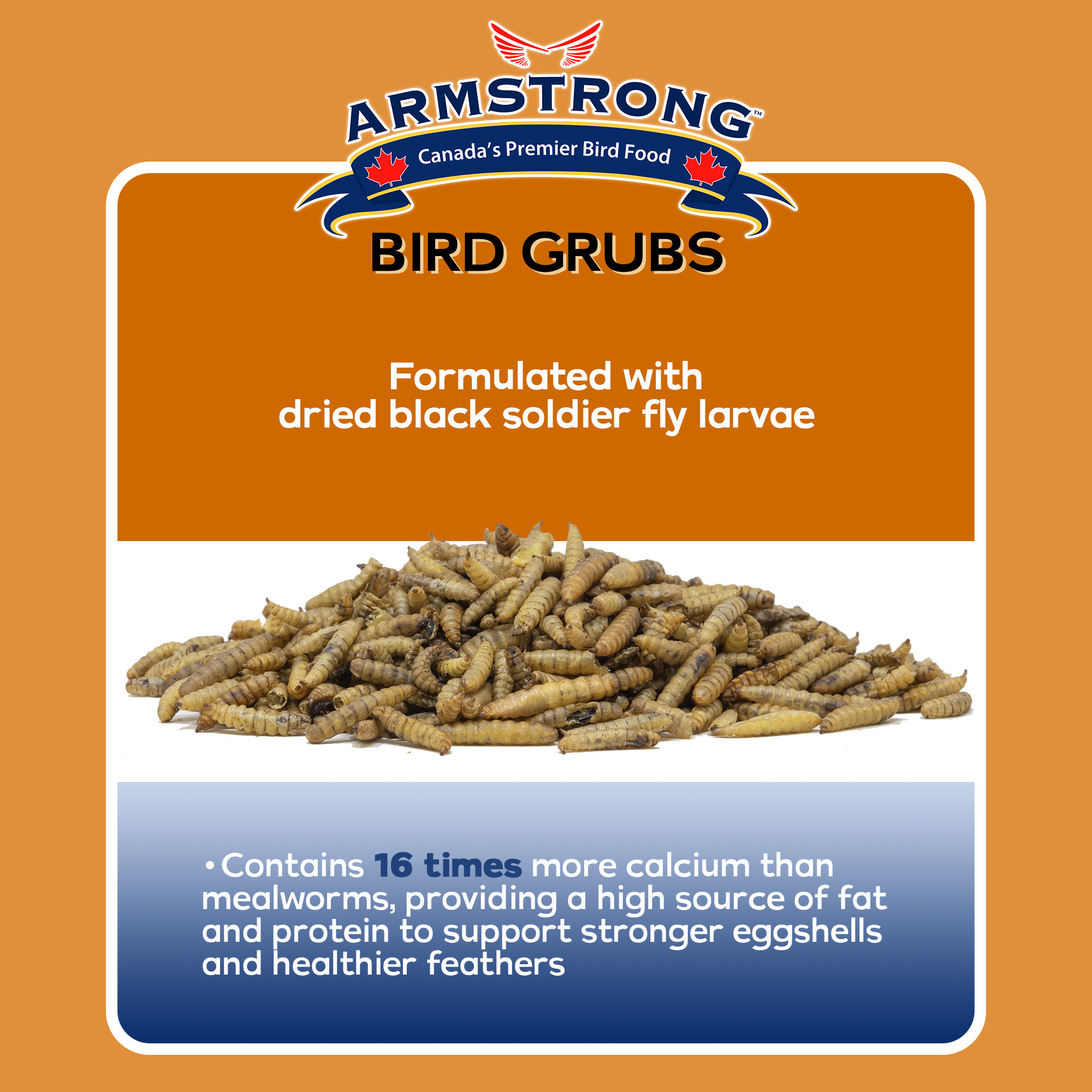 Armstrong Wild Bird Food Mealworm Alternative Bird Grubs Bird Seed Blend Esbenshades