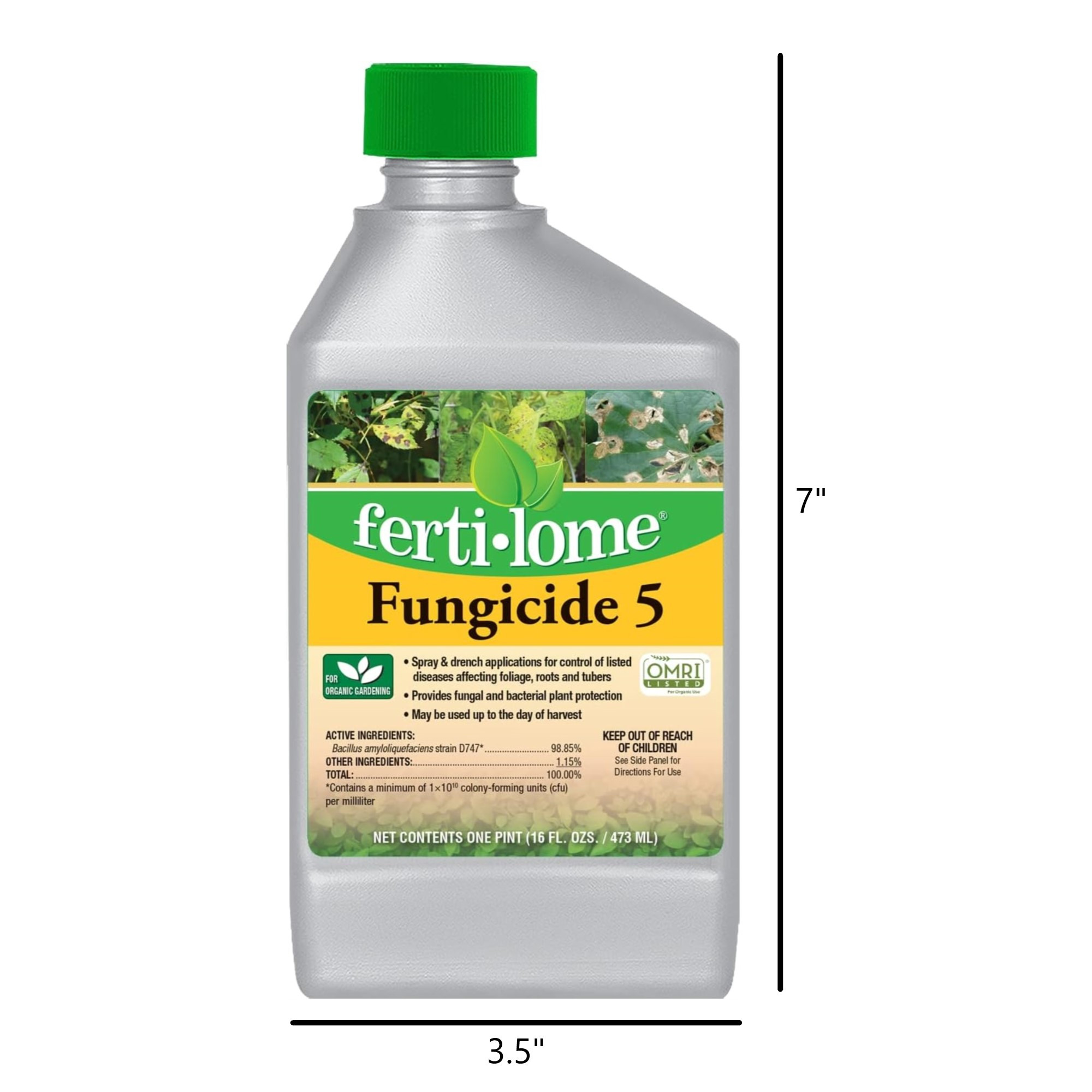 Fertilome Fungicide 5 Biofungicide/Bactericide Concentrate, 16 fl oz