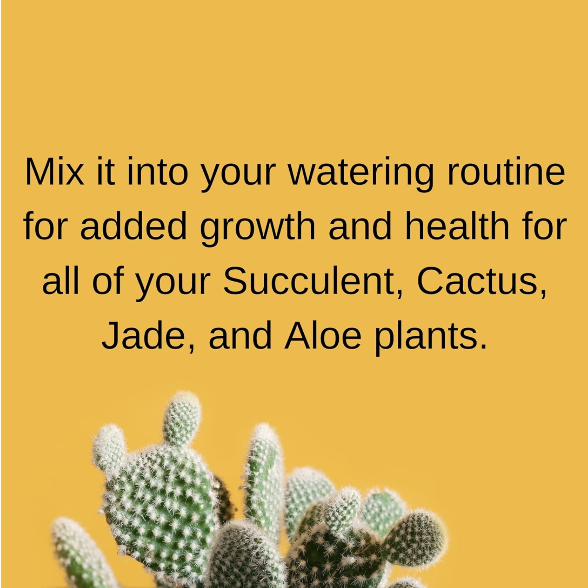 Fertilome Houseplant Hero Cactus and Succulent 2-7-7 Plant Food Concentrate, 8oz