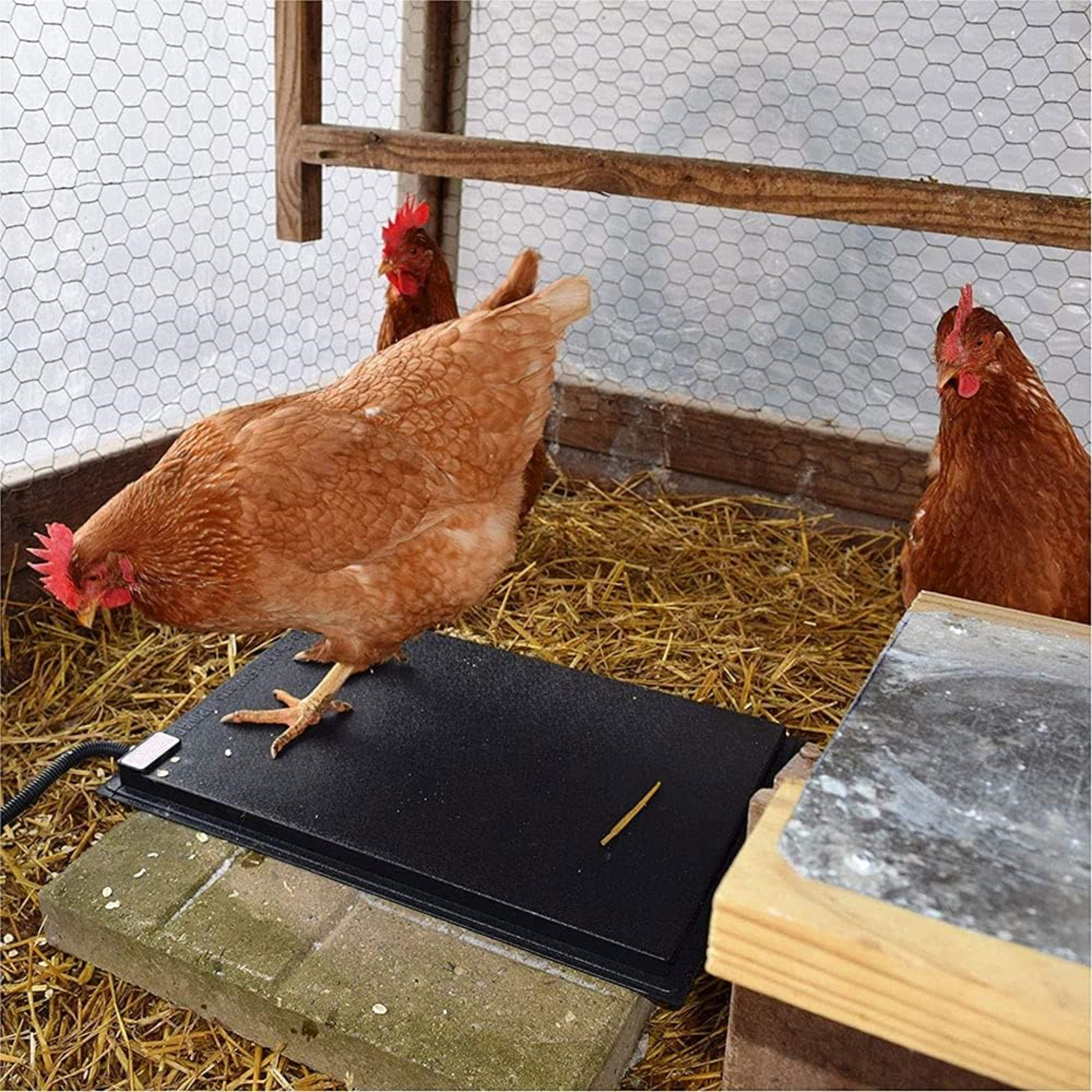 Farm Innovators 60W Heated Chicken Mat – Thermostat-Controlled Pad for Coops, 19"x13"