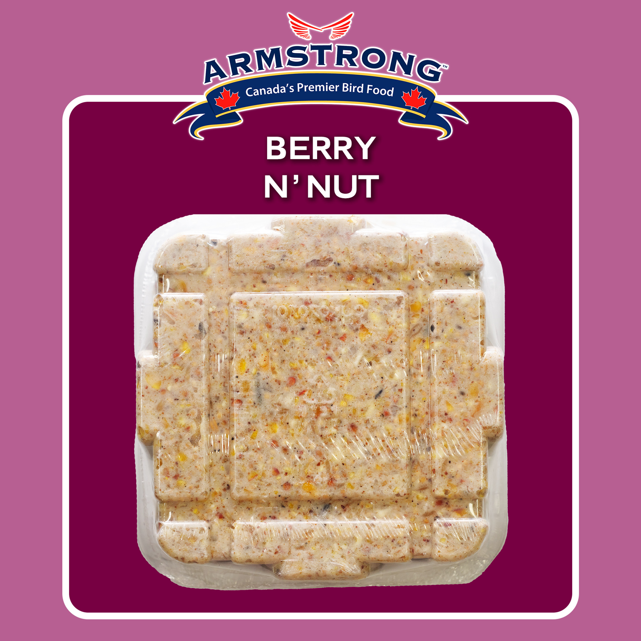 Armstrong Wild Bird Food Berry N' Nut Suet Cake, 11.3oz (Pack of 12) Armstrong Wild Bird Food Berry N' Nut Suet Cake, 11.3oz (Pack of 12)