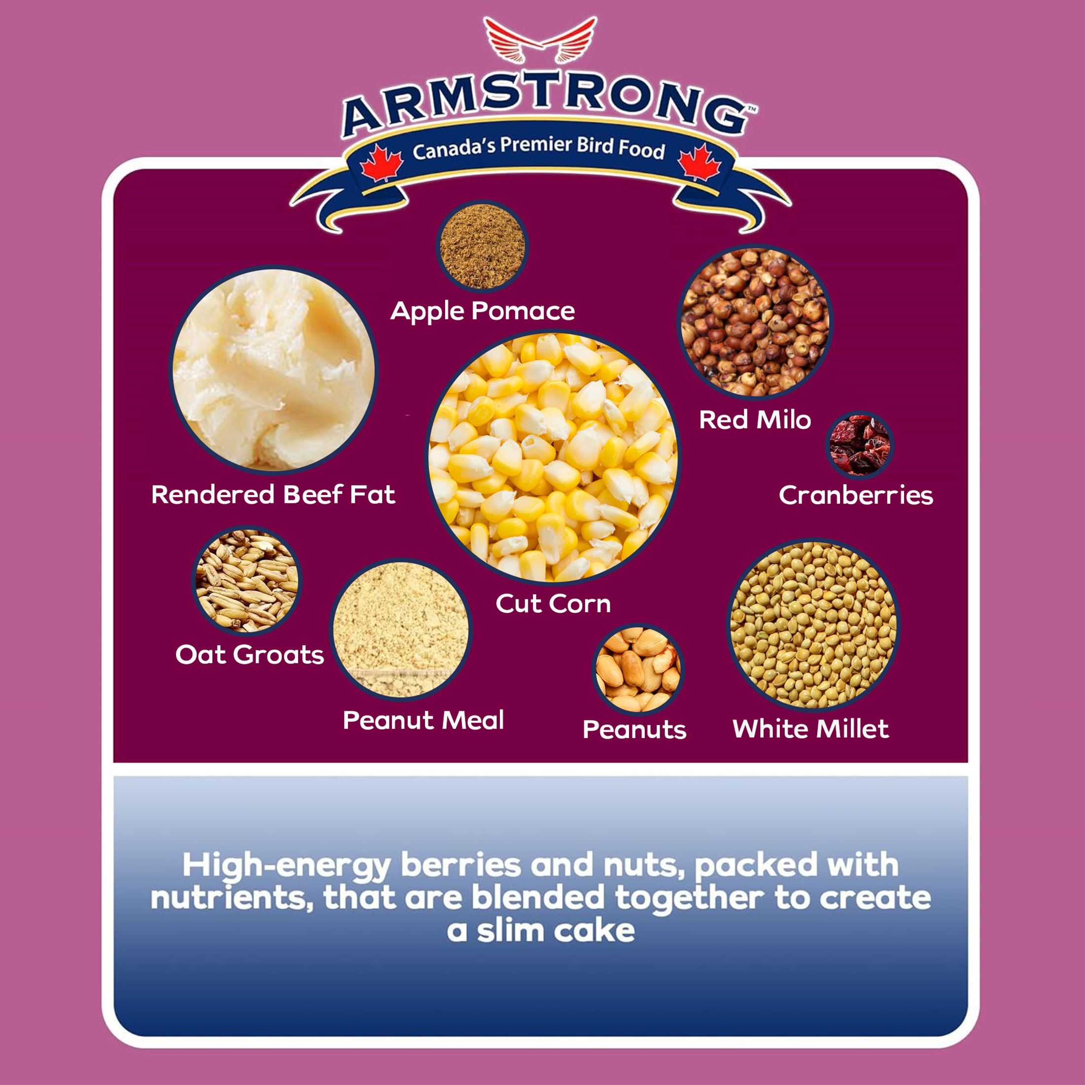 Armstrong Wild Bird Food Berry N' Nut Suet Cake, 11.3oz (Pack of 12) Armstrong Wild Bird Food Berry N' Nut Suet Cake, 11.3oz (Pack of 12)