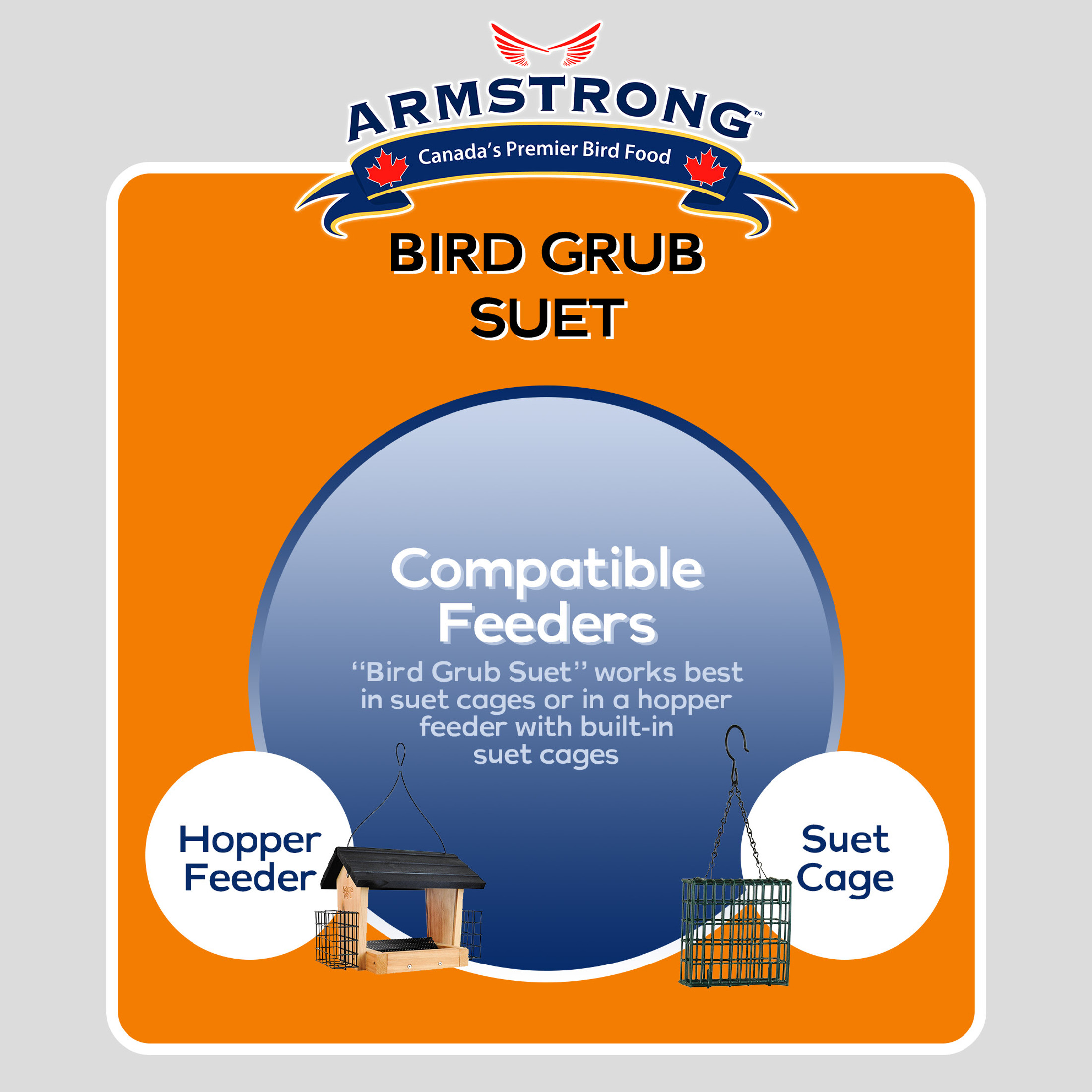 Armstrong Wild Bird Food Bird Grub Suet Blend, 10.6oz (Pack of 12)