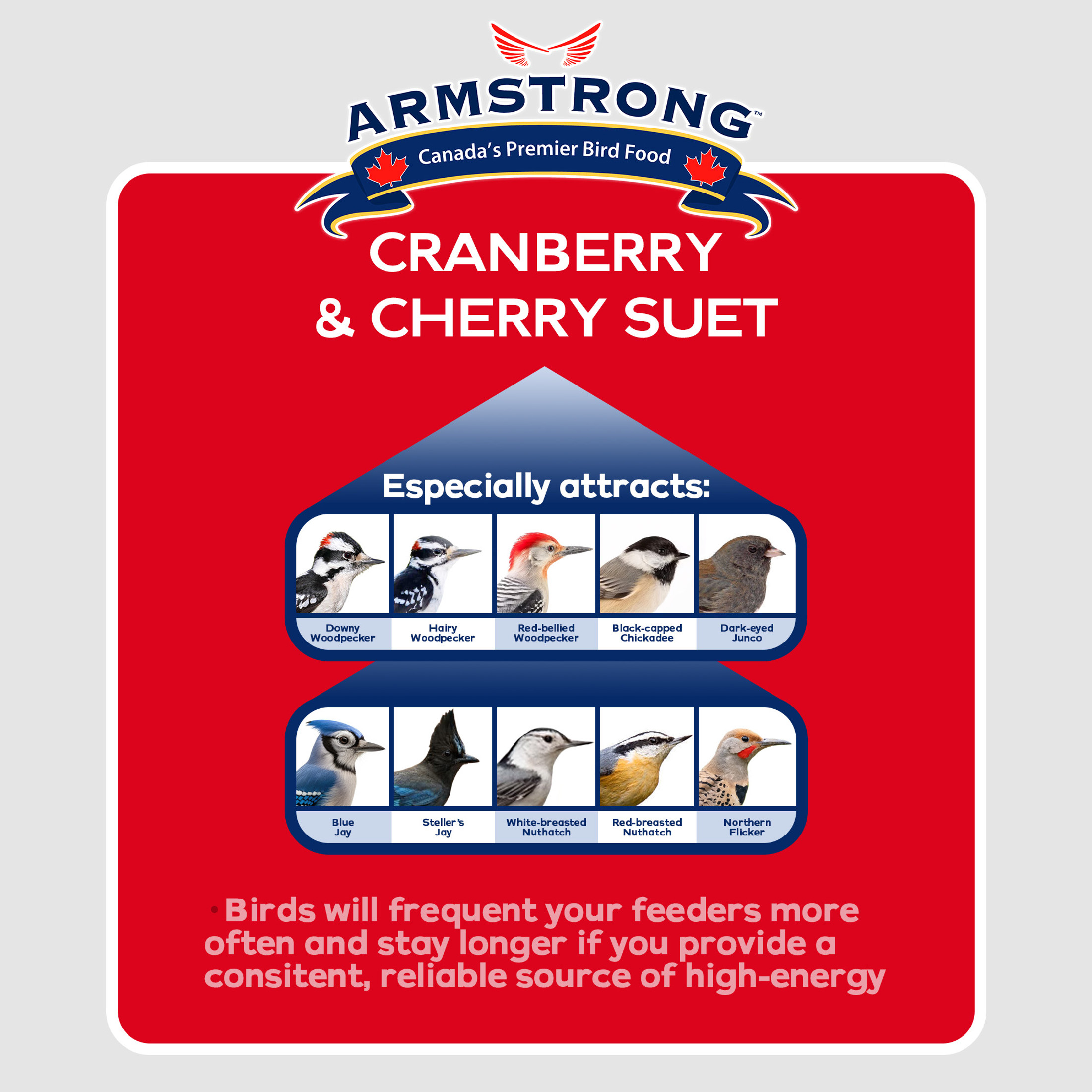 Armstrong Wild Bird Food Cranberry and Cherry Suet Blend, 11.3oz (Pack of 12)