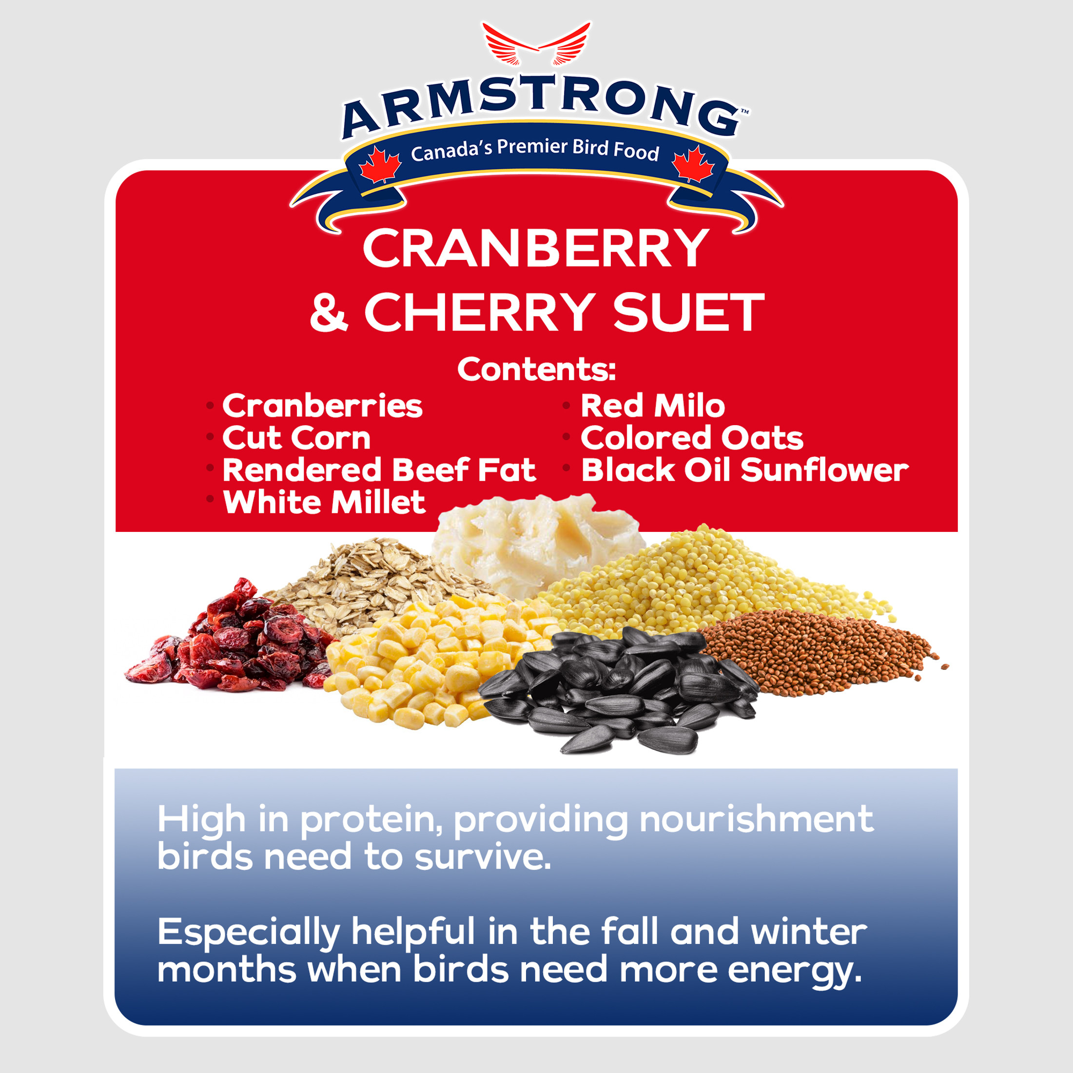 Armstrong Wild Bird Food Cranberry and Cherry Suet Blend, 11.3oz (Pack of 12)