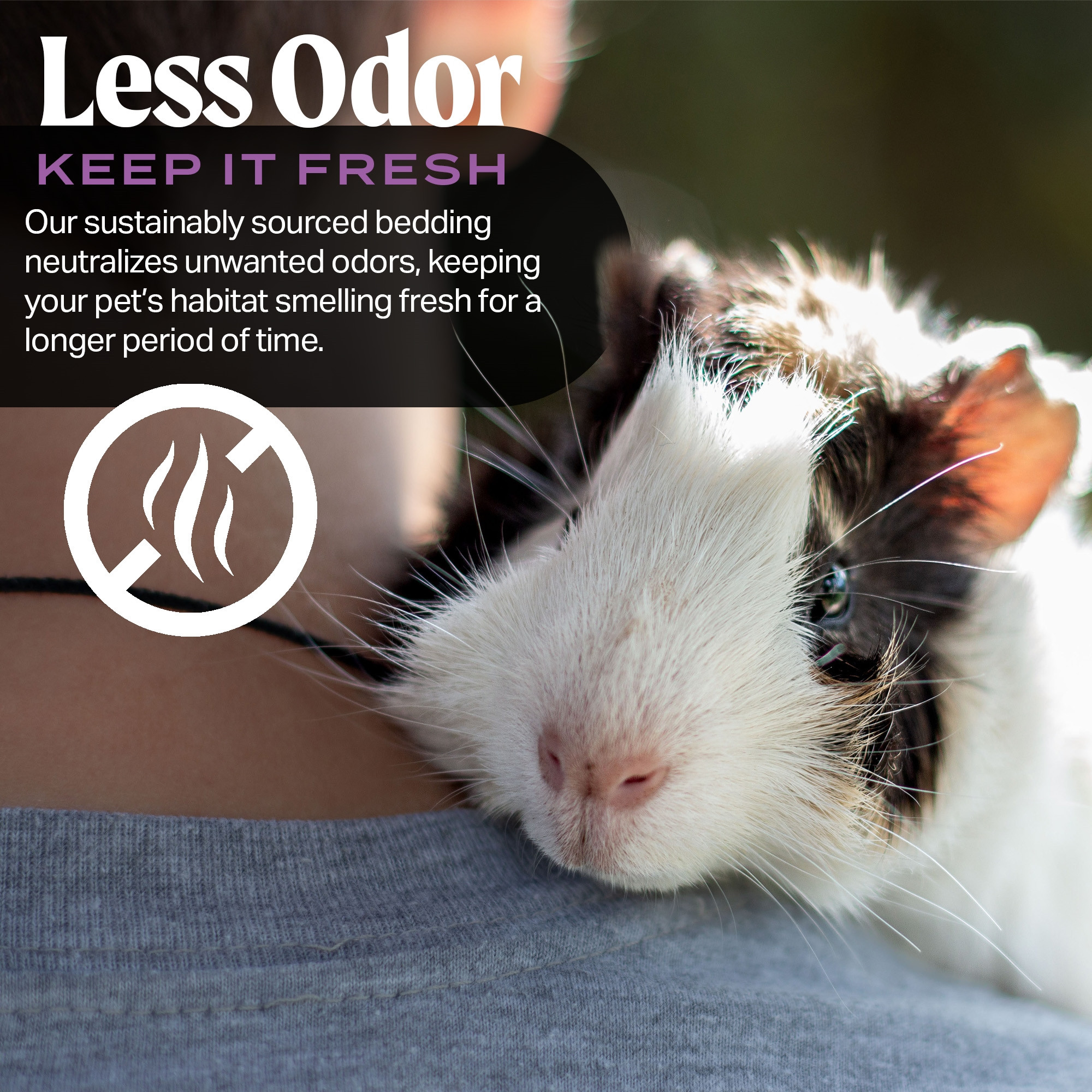 HealthiStraw PetStraw Mini Wheat Straw Bedding for Small Pets – Dust & Allergen-Free, Absorbent, Soft, Sustainable, 38 L (4 lbs)