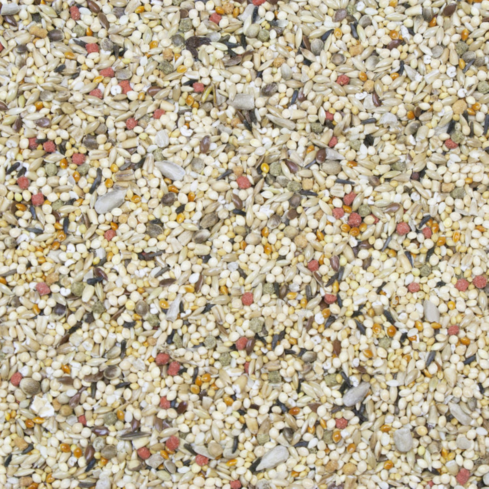 Higgins VITA SEED Premium Finch Food – Natural Seed Blend with Probiotics & Omega-3, 25lb