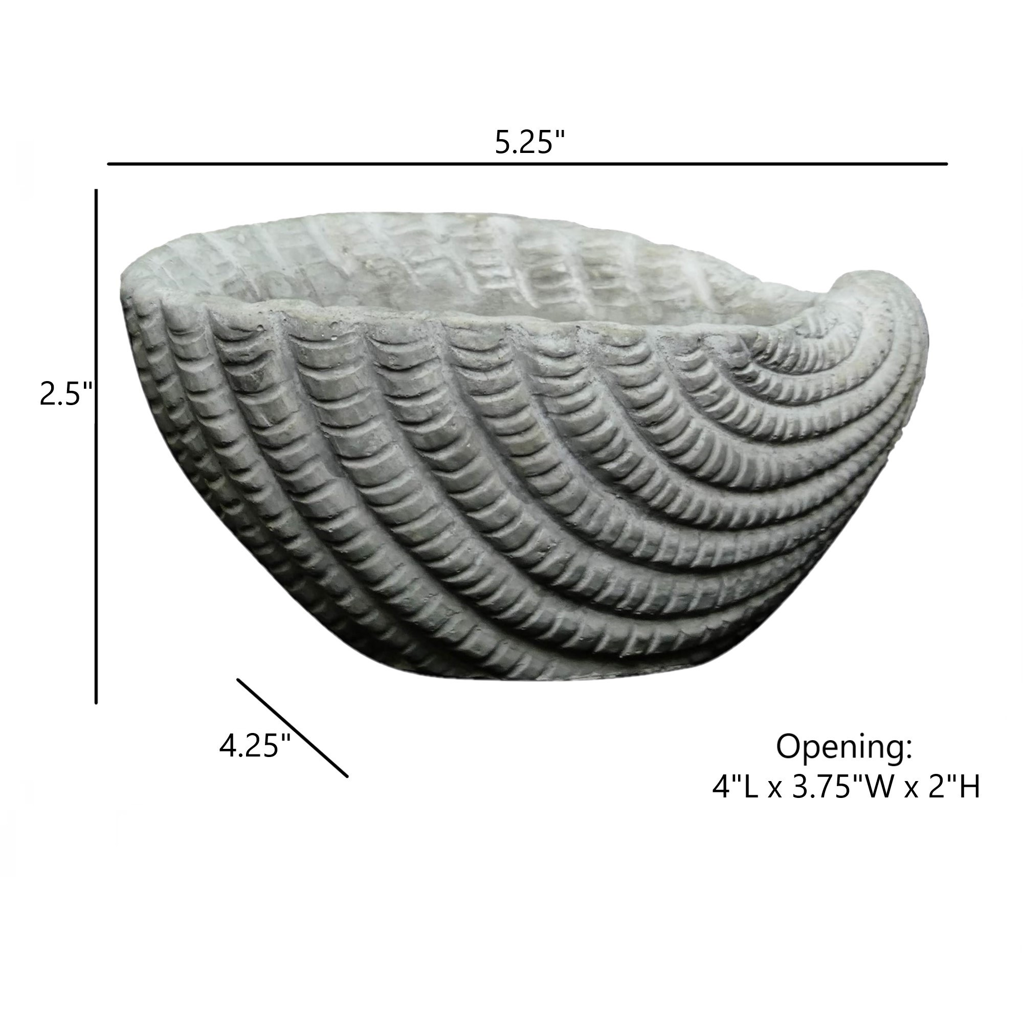 Classic Home and Garden Indoor/Outdoor Cement Succulent Planter with Drainage Hole, Sea Shell, Gray, 5"