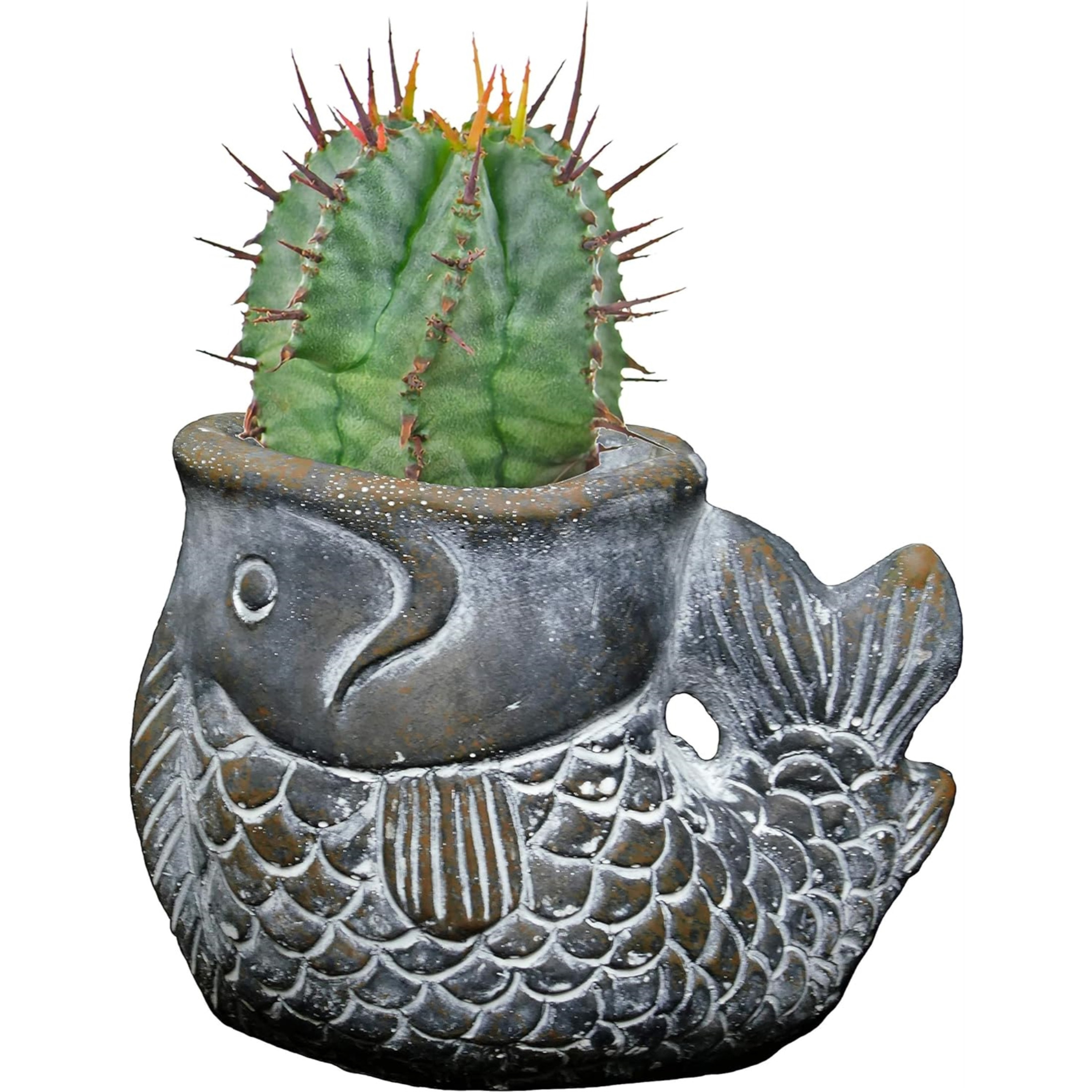 Classic Home and Garden Indoor Outdoor Cement Largemouth Bass Succulent Planter