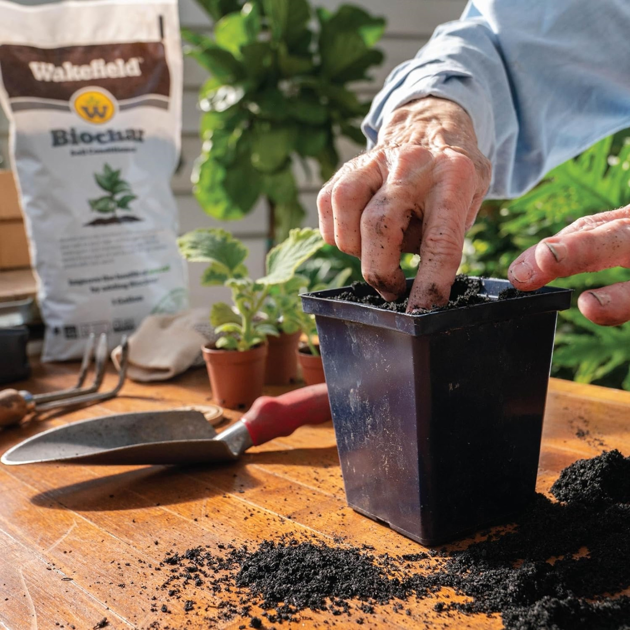 Wakefield Biochar Organic Soil Conditioner for Indoor and Outdoor Use