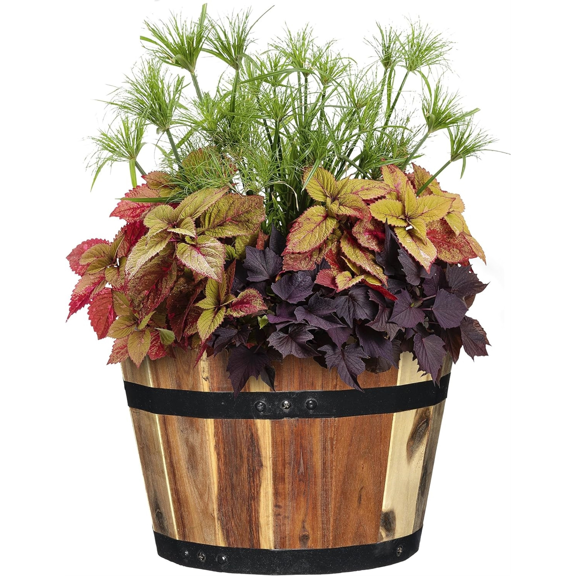 Classic Home and Garden Acacia Natural Wood Whiskey Barrel Planter with Black Metal Band, Assorted Sizes (Set of 3)