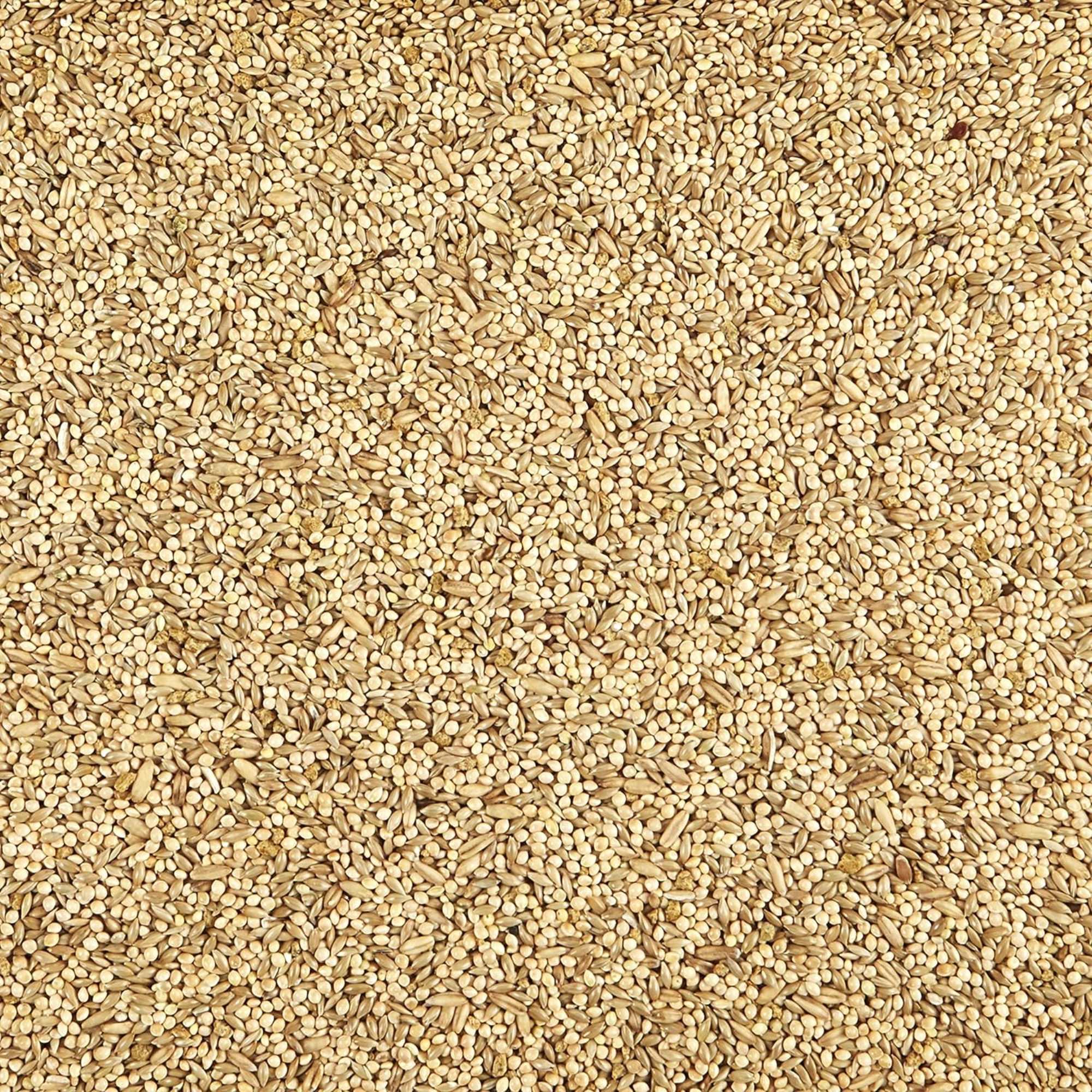 Kaytee Supreme Parakeet Bird Food, 20lb