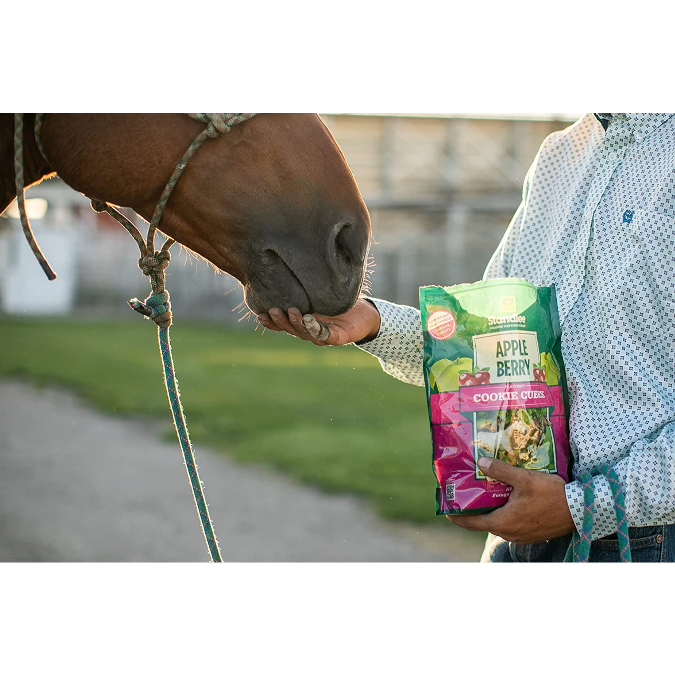 Standlee Hay Company Apple Berry Cookie Cubes Horse Treats