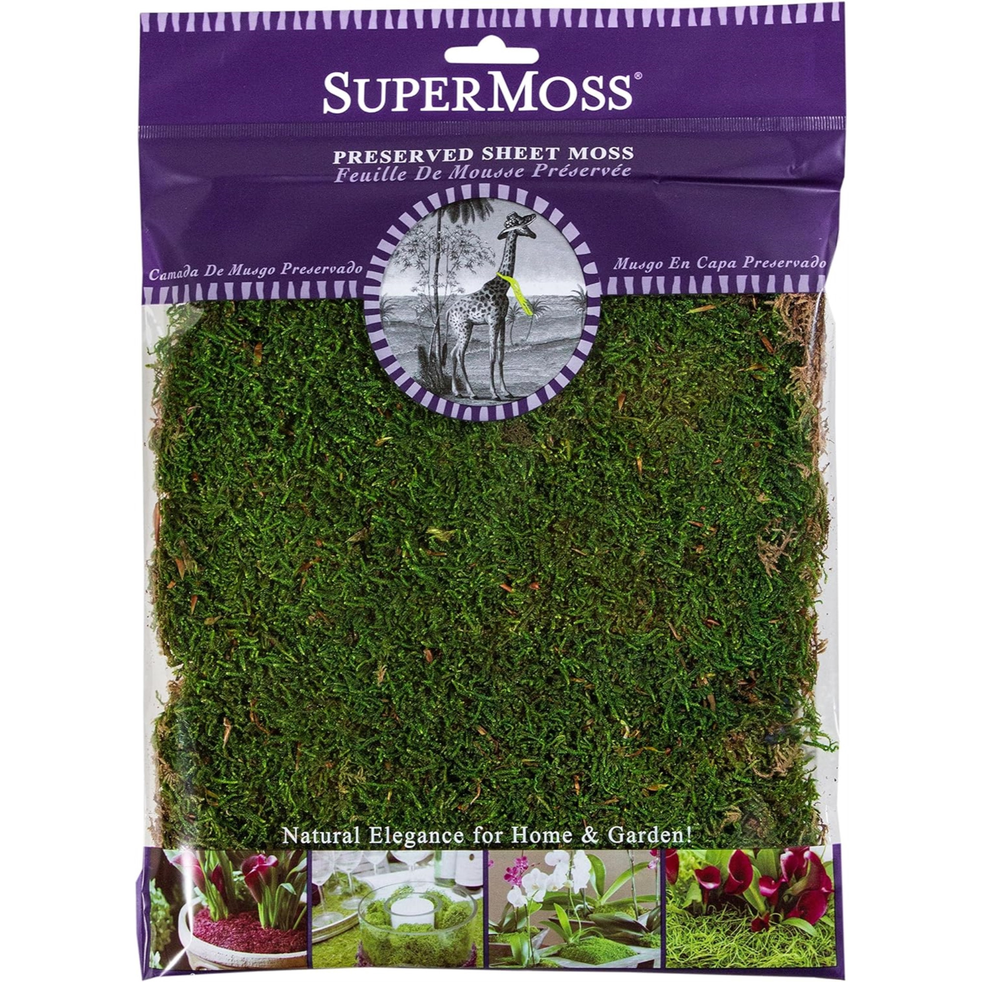 SuperMoss Preserved Sheet Moss, Fresh Green, 1oz