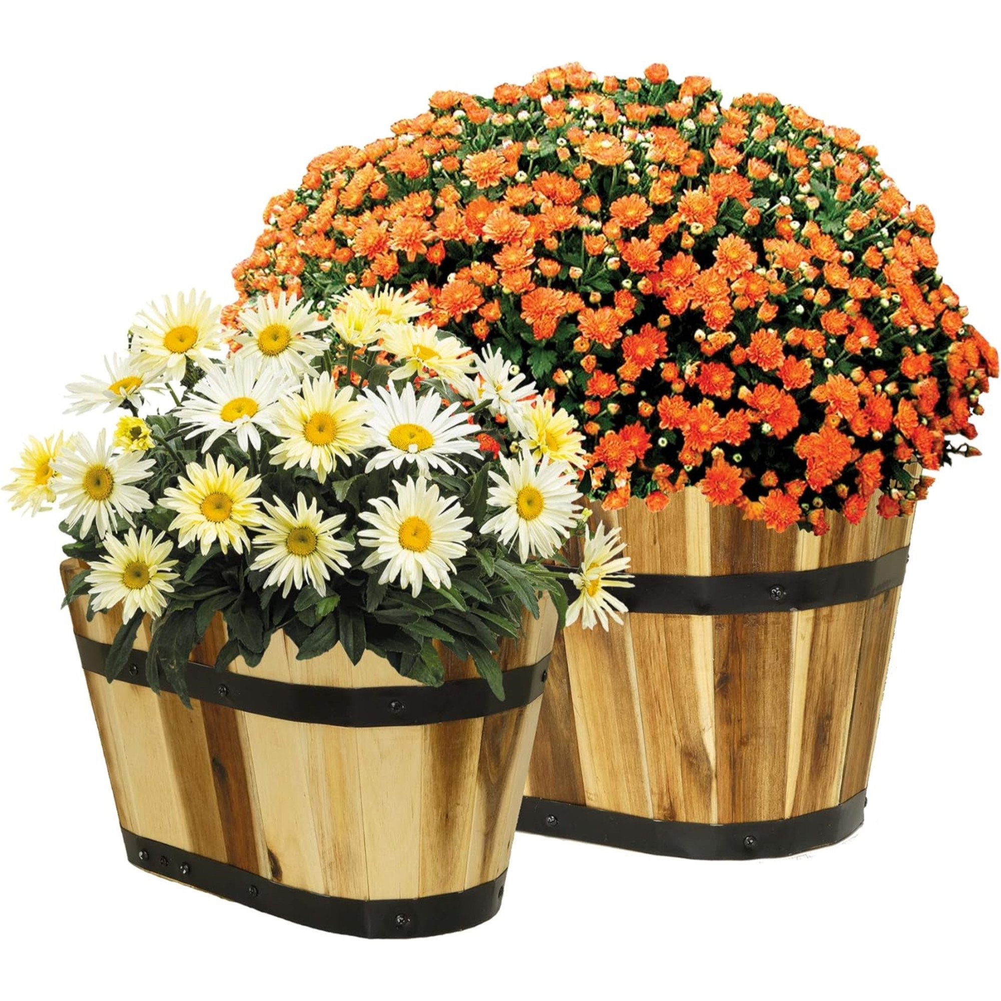 Classic Home and Garden Indoor/Outdoor Acacia Wood Oval Half-Barrel Planters with Metal Band — Assorted Sizes (Set of 2)