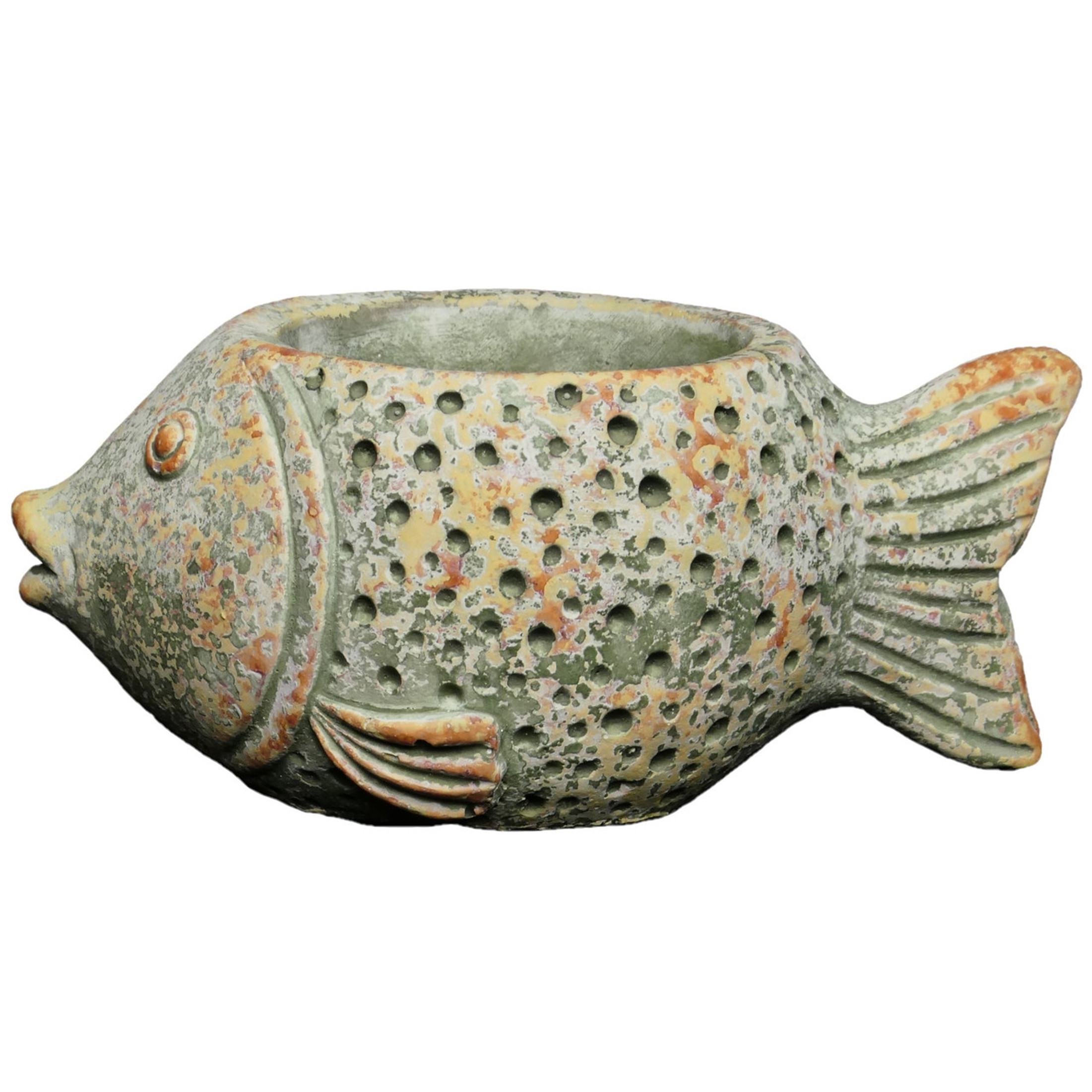 Classic Home and Garden Cement Buddies Indoor/Outdoor Planter with Drainage Hole, Coral Fish, Multicolored, 6.5in