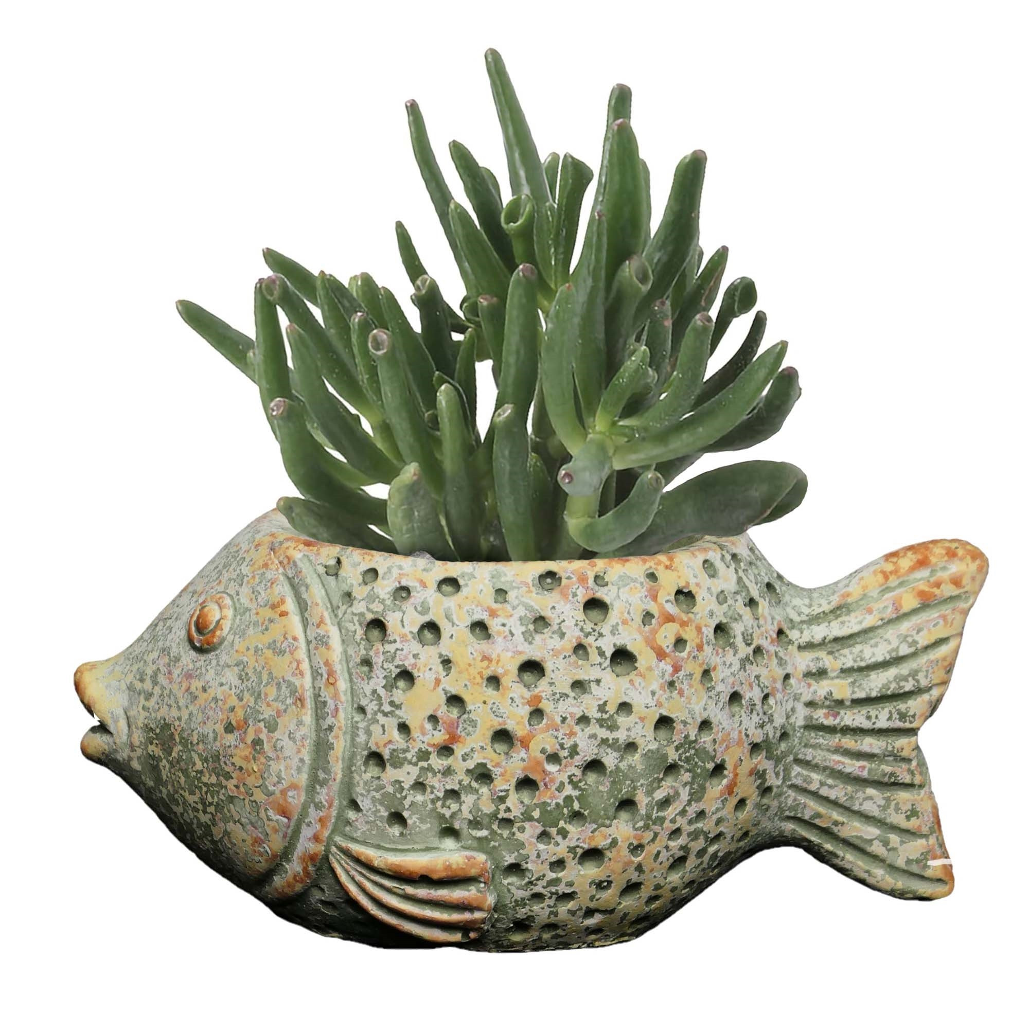 Classic Home and Garden Cement Buddies Indoor/Outdoor Planter with Drainage Hole, Large Coral Fish — Multicolored, 6.5"