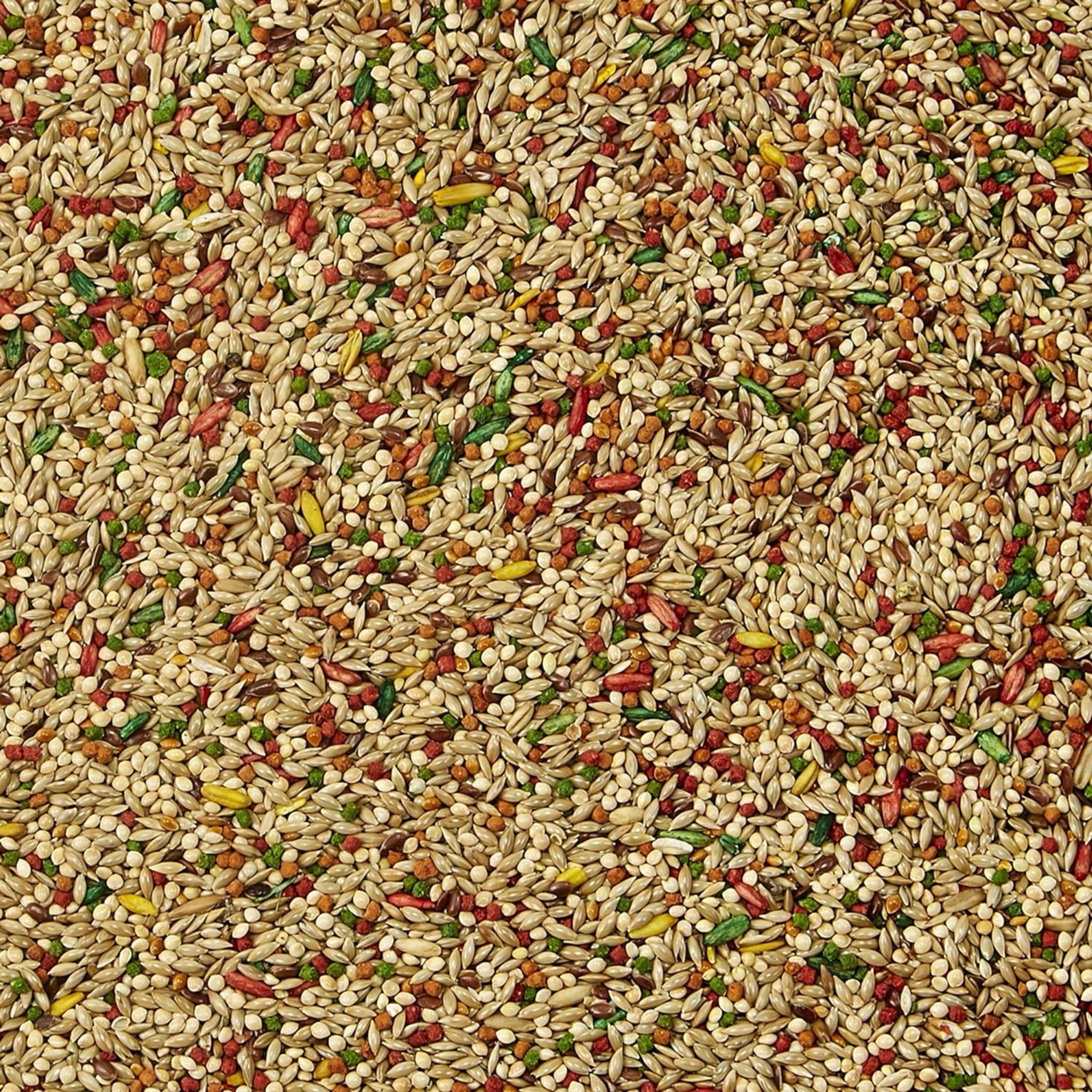 Kaytee Forti-Diet Pro Health Parakeet Bird Food, 25lb Bag