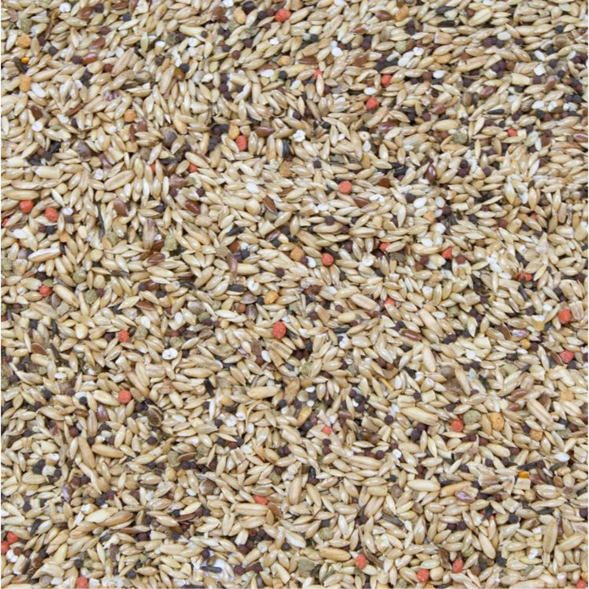 Higgins Vita Seed Indoor Pet Bird Canary Food For Birds, 25lb