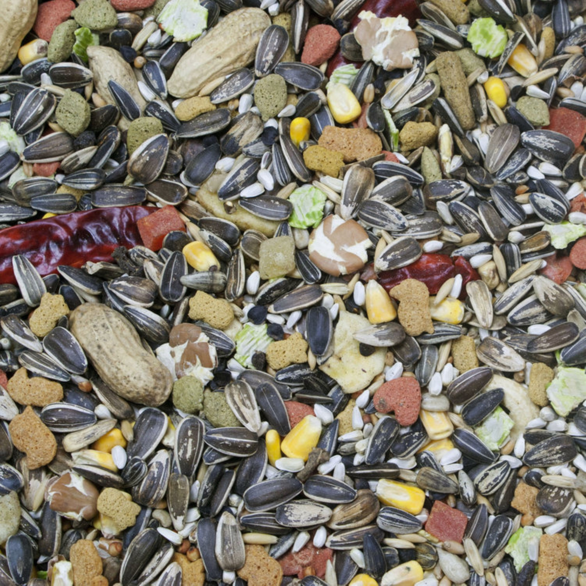 Higgins Vita Seed Natural Blend with Added Vitamins and Minerals for Parrots, 25lbs