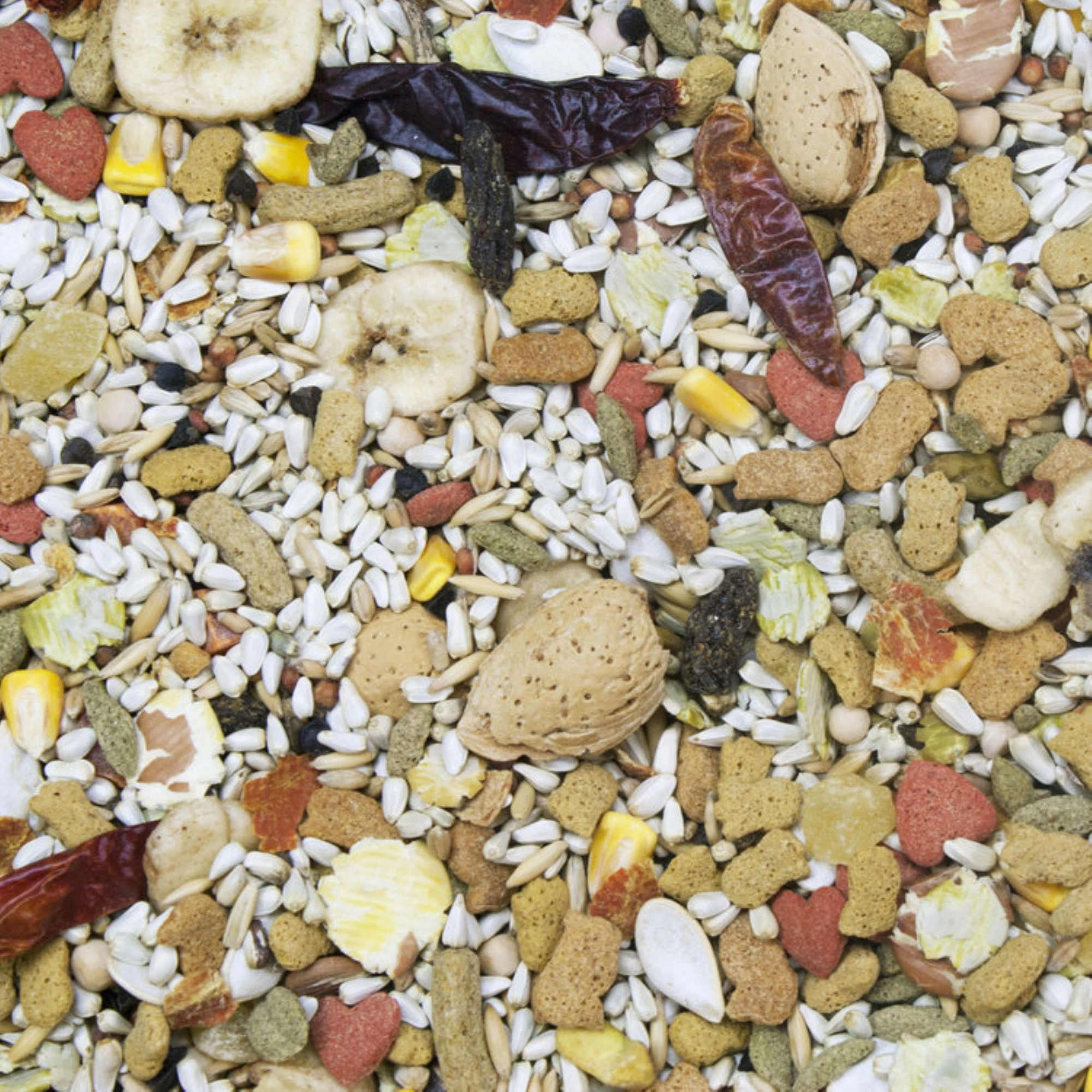 Higgins Vita Seed California Blend Sunflower-Free Bird Food for Parrots, 25lbs
