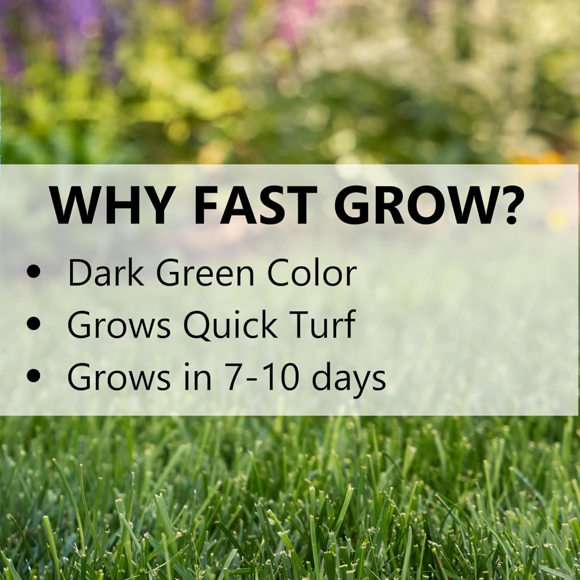 Jonathan Green Fast Grow Rapidly Establishing Grass Seed Mixture
