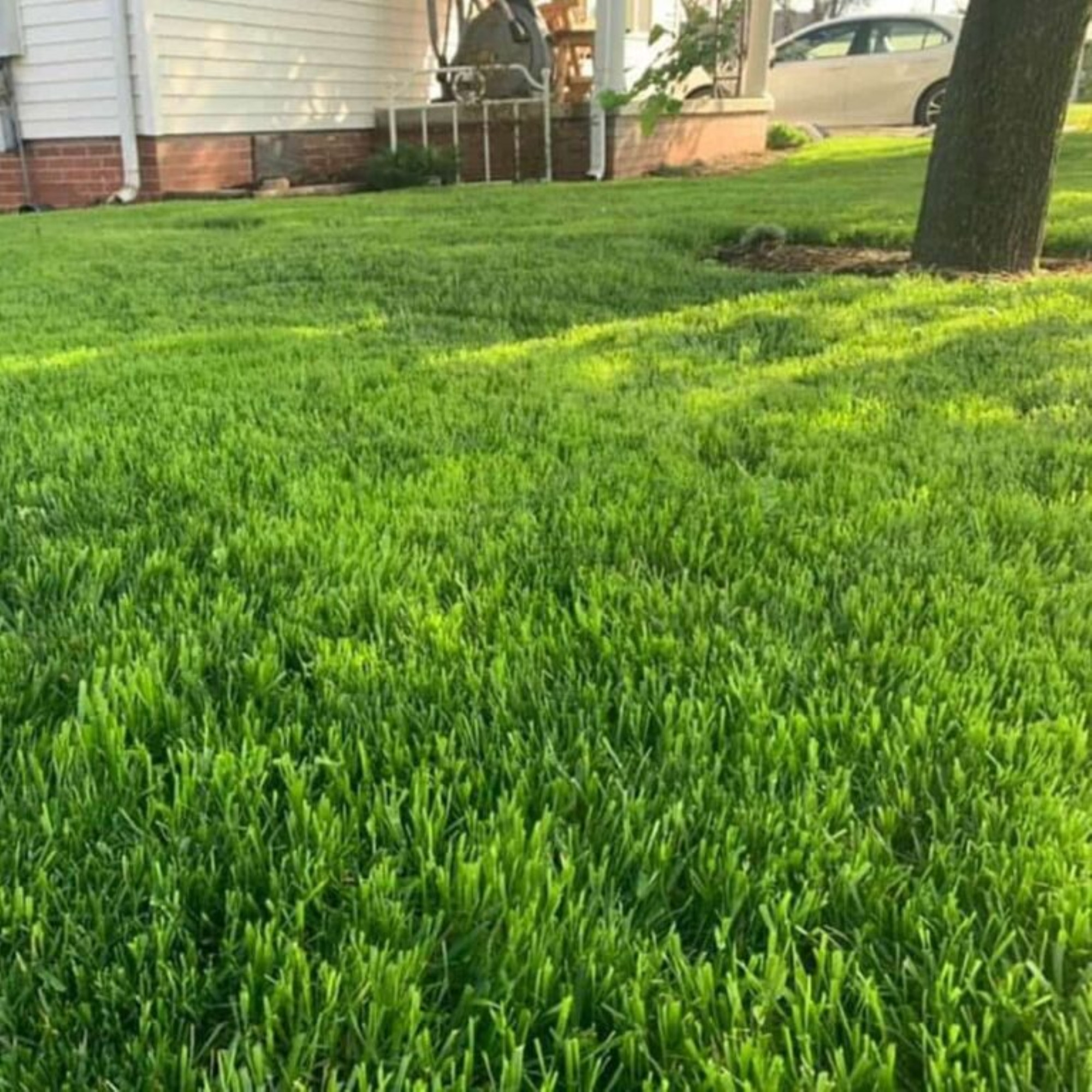 Jonathan Green Touch-Up Fast-Germinating Elite Perennial Ryegrass Blend