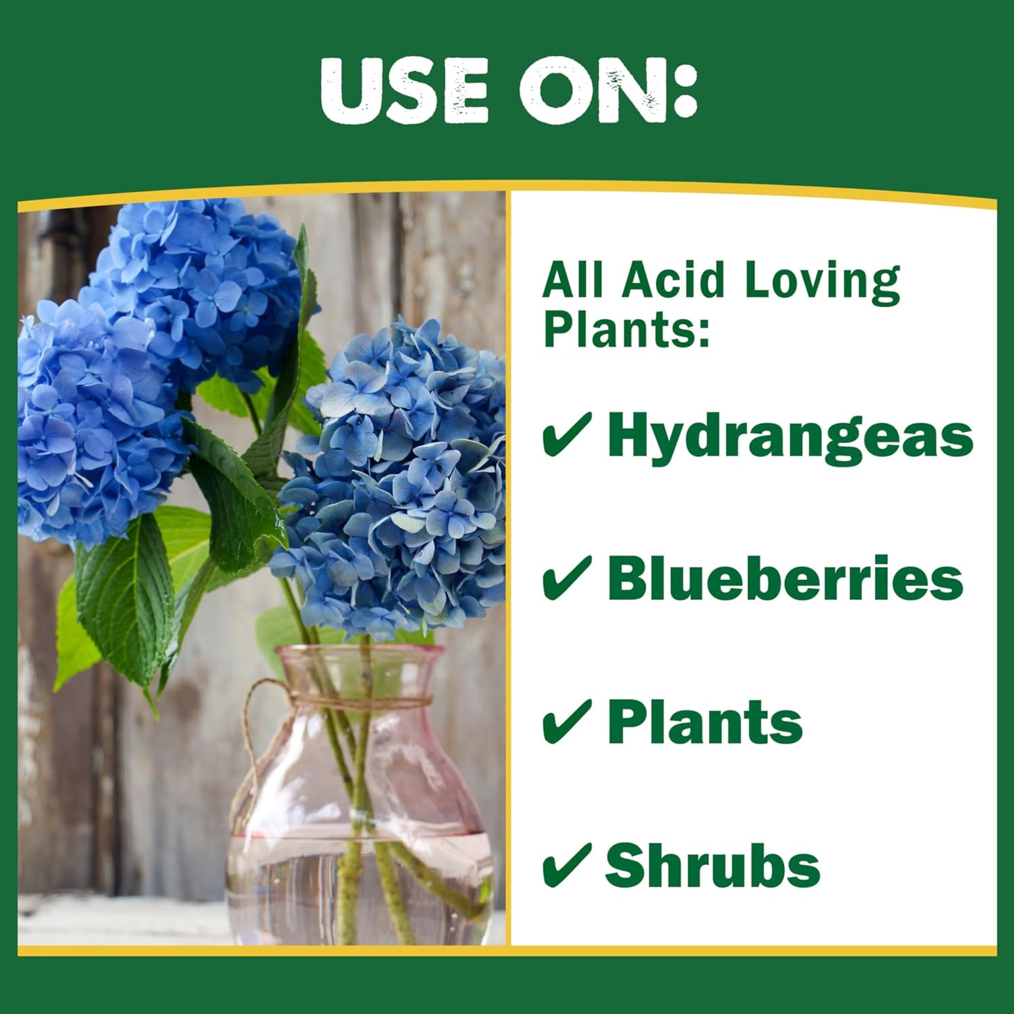 Espoma Organic Soil Acidifier – Lowers Soil pH and Turns Hydrangeas Blue