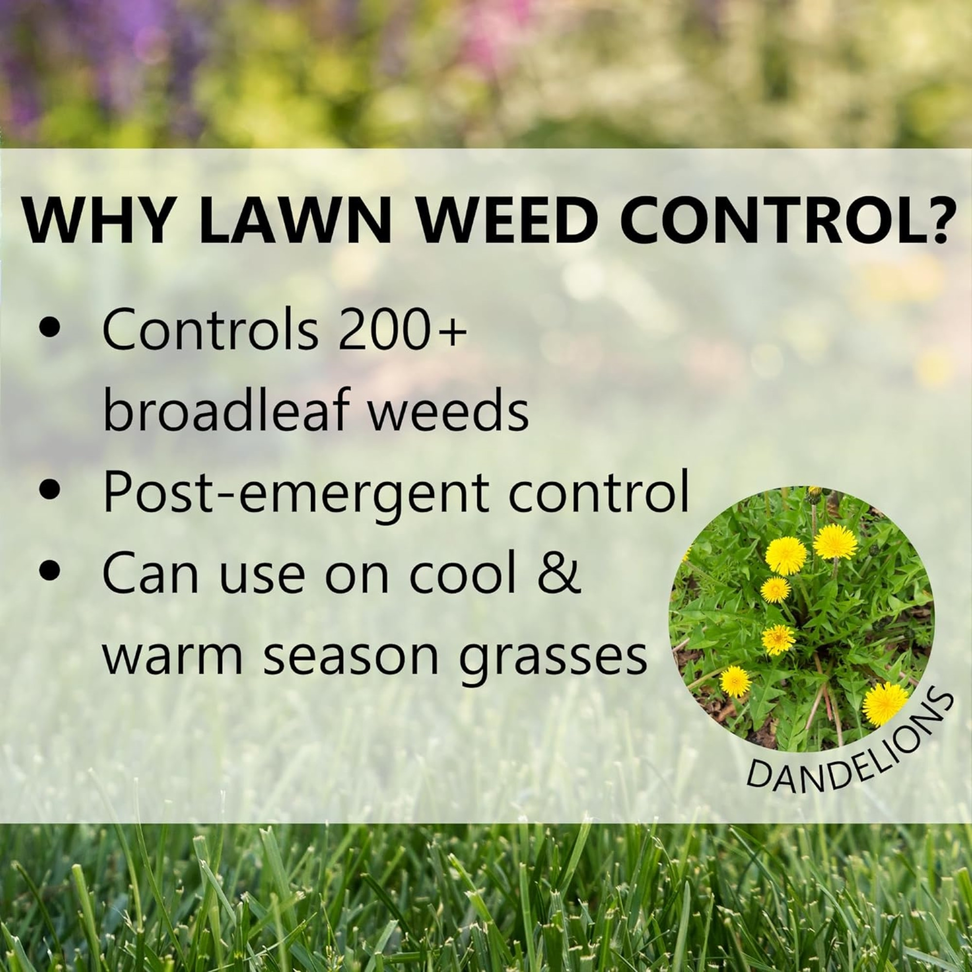 Jonathan Green Lawn Weed Control for Broadleaf Weeds
