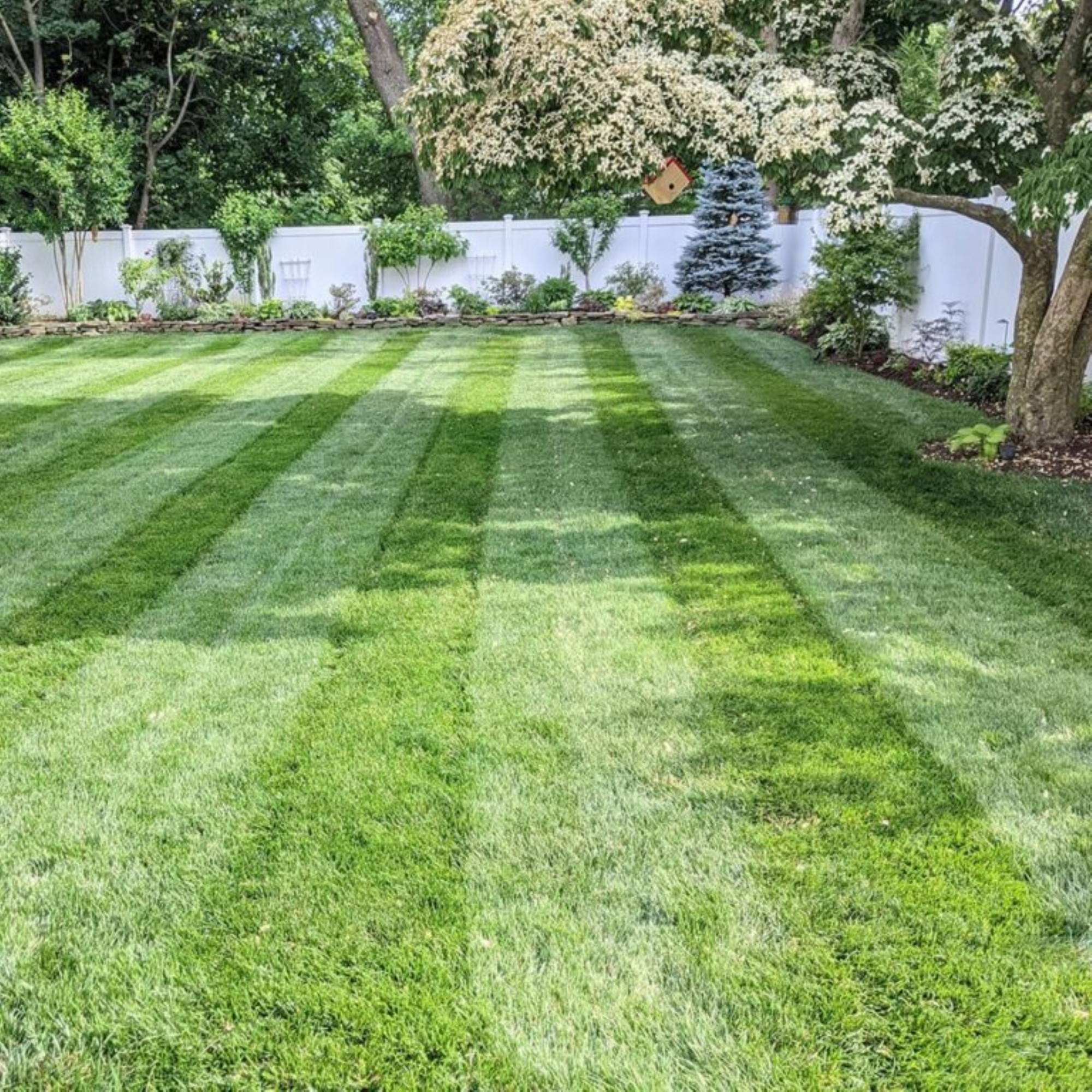 Jonathan Green Season-Long Weed Preventer for Lawns & Landscapes
