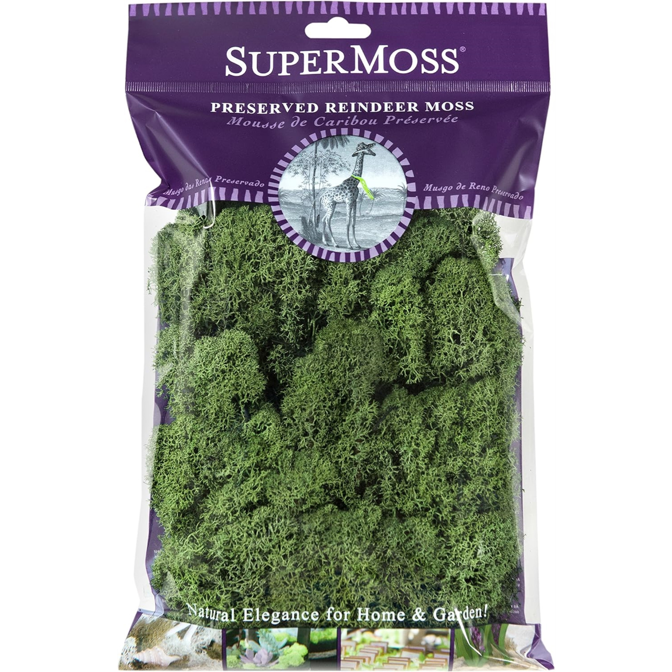 SuperMoss Preserved Reindeer Moss, Basil, Approx. 2oz