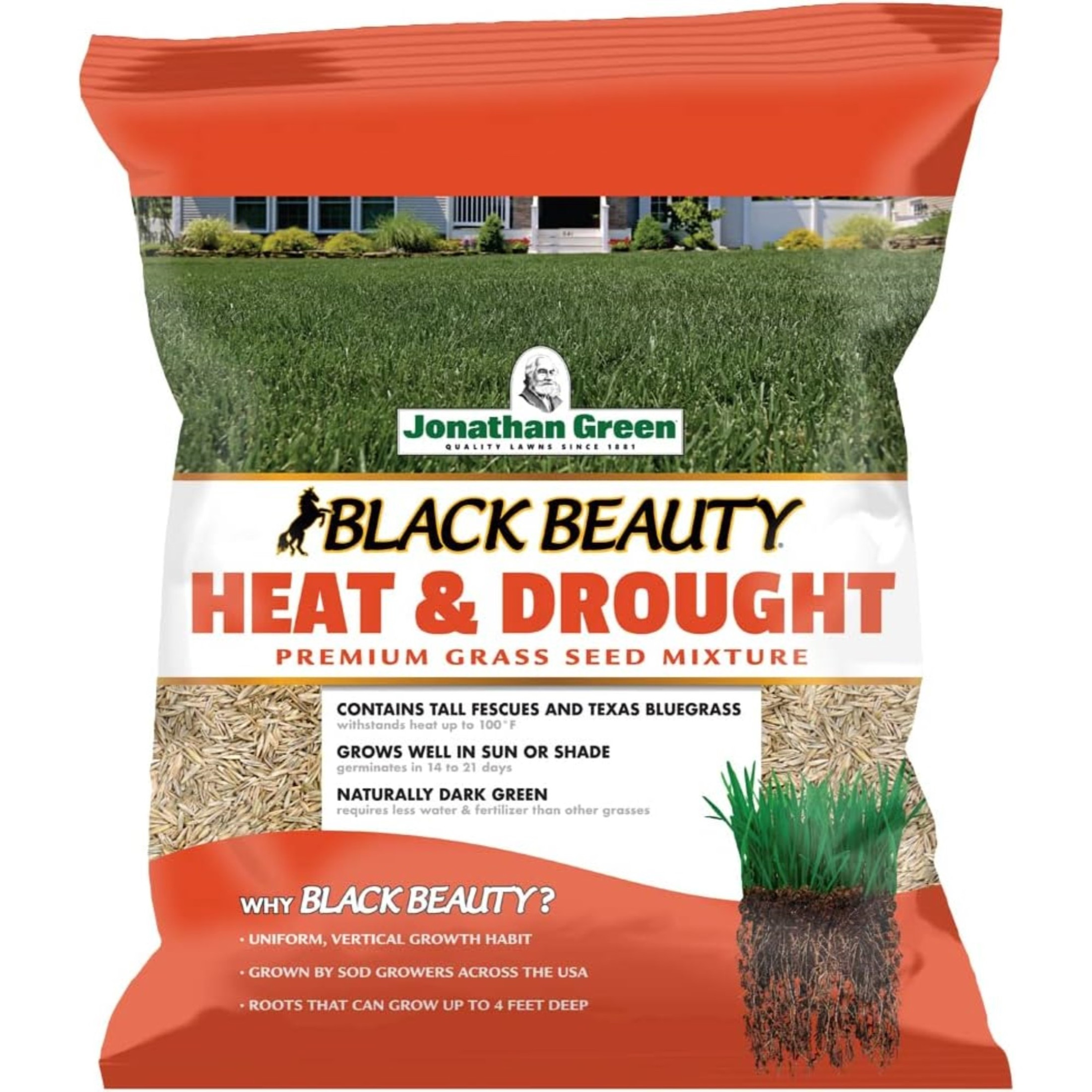 Jonathan Green Black Beauty Heat & Drought Resistant Grass Seed Mix