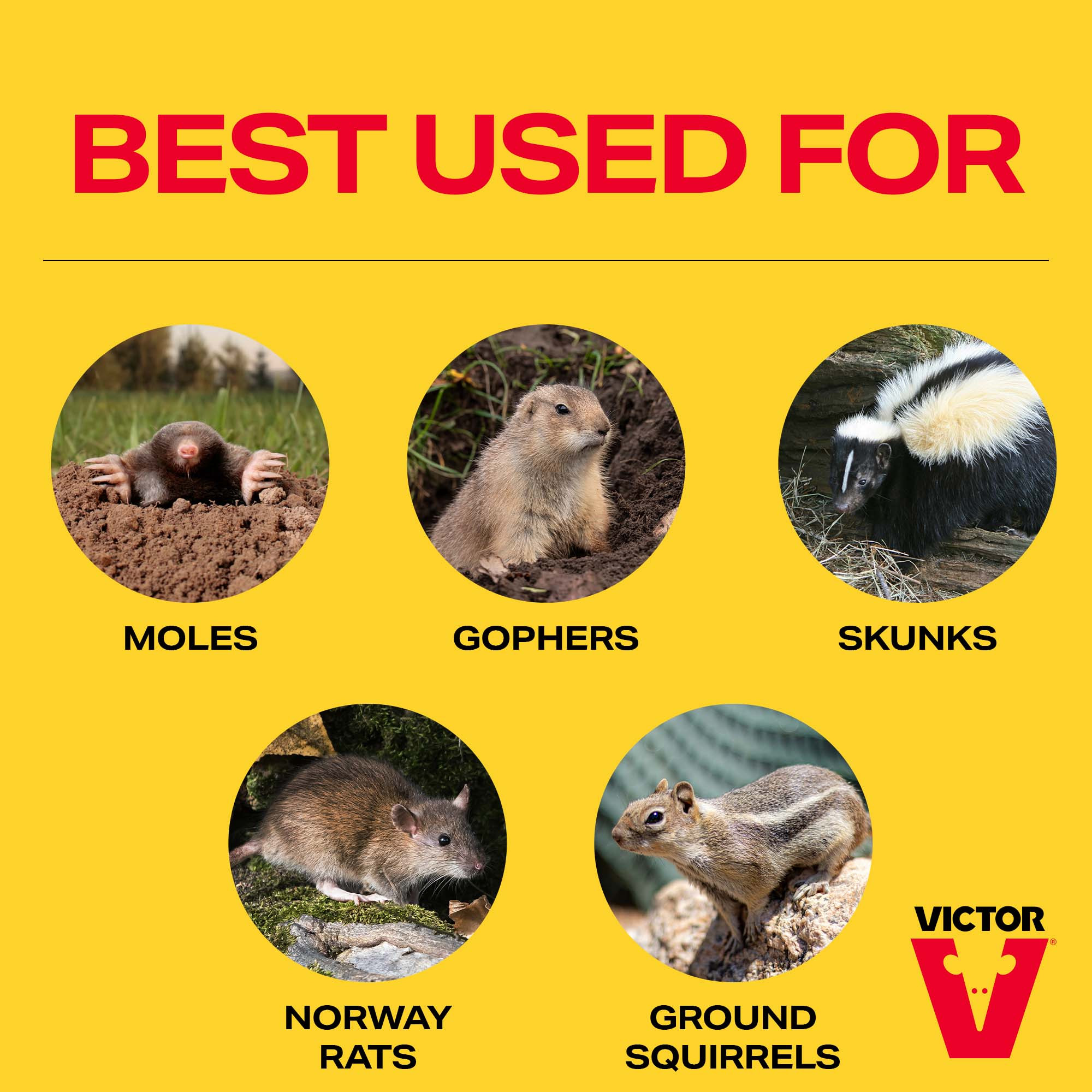 Victor Quick Strike Mole & Gopher Gasser, Pack of 4 – Easy Ignition Pest Control