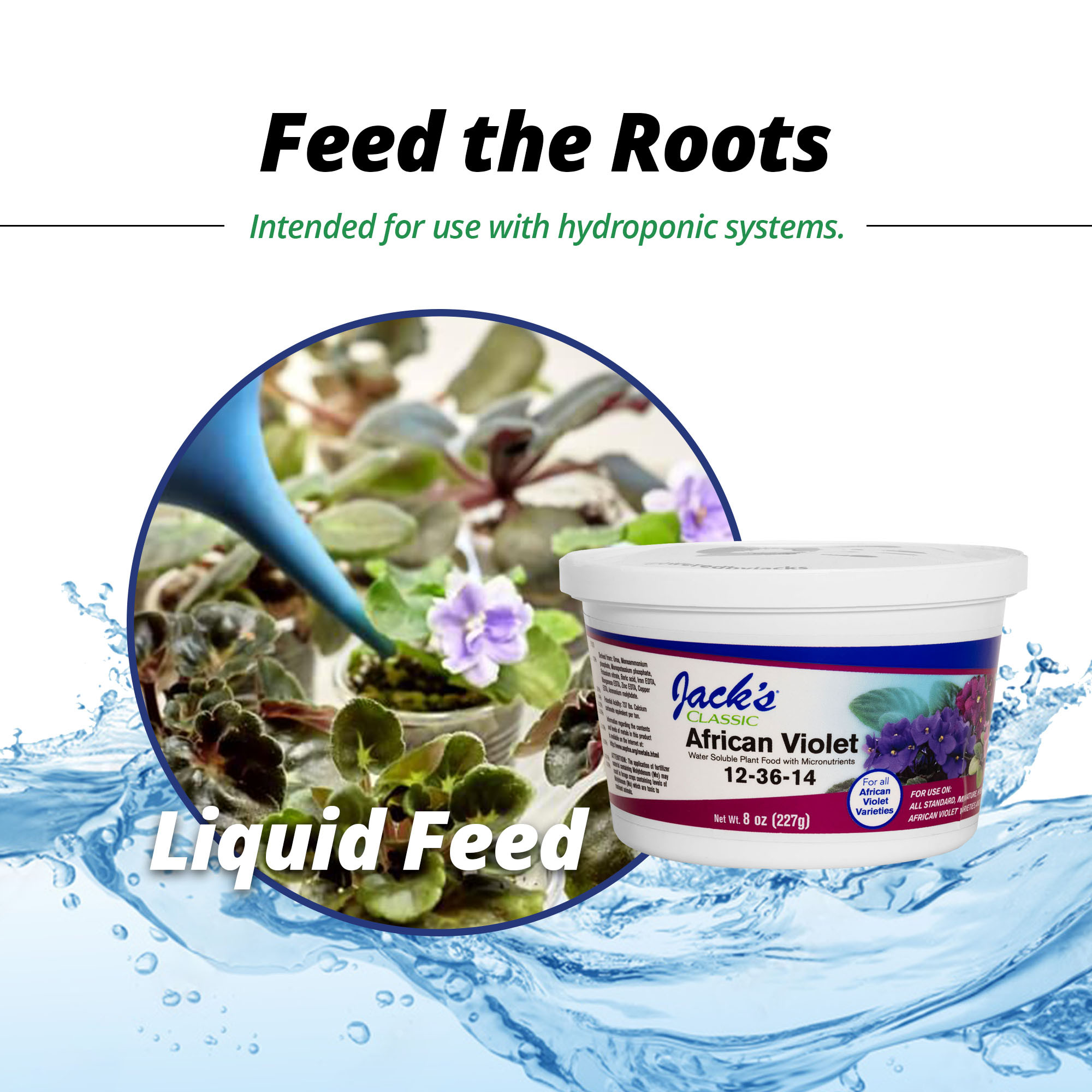 Jack's Classic 12-36-14 African Violet Water-Soluble Fertilizer