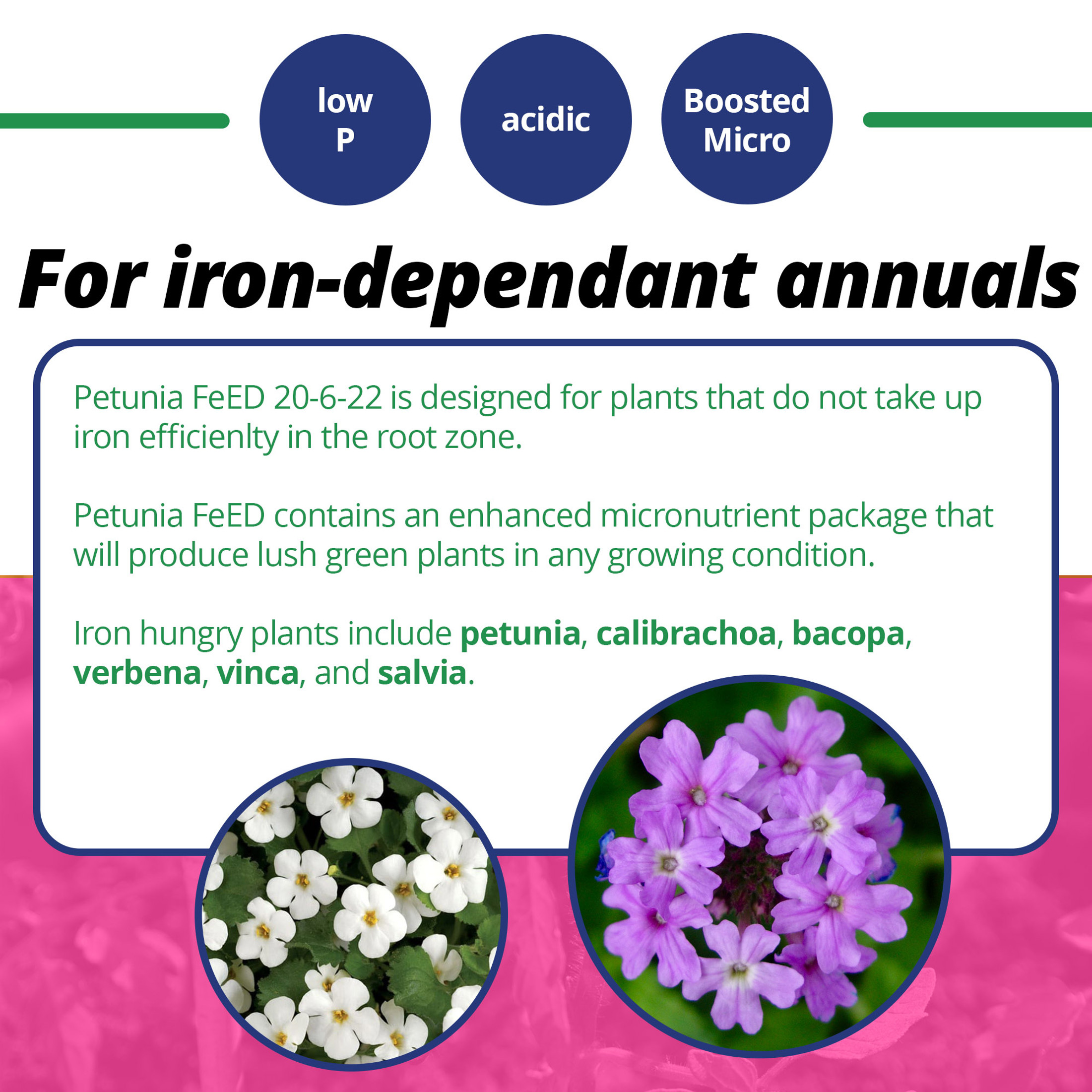 Jack's Classic Water Soluble Petunia FeED Fertilizer, 20-6-22