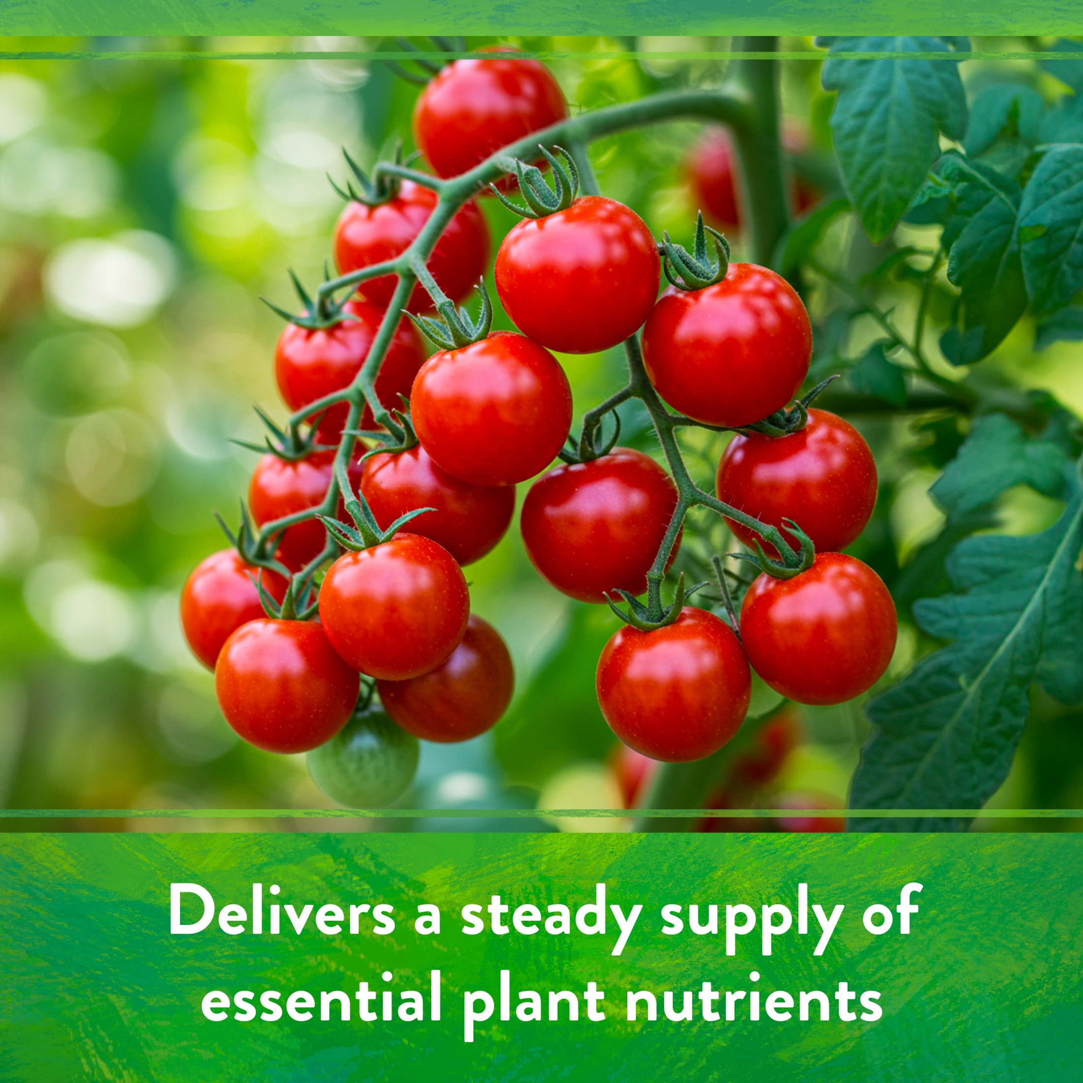 Down To Earth Organic All Purpose 4-6-2 All Natural Fertilizer Mix