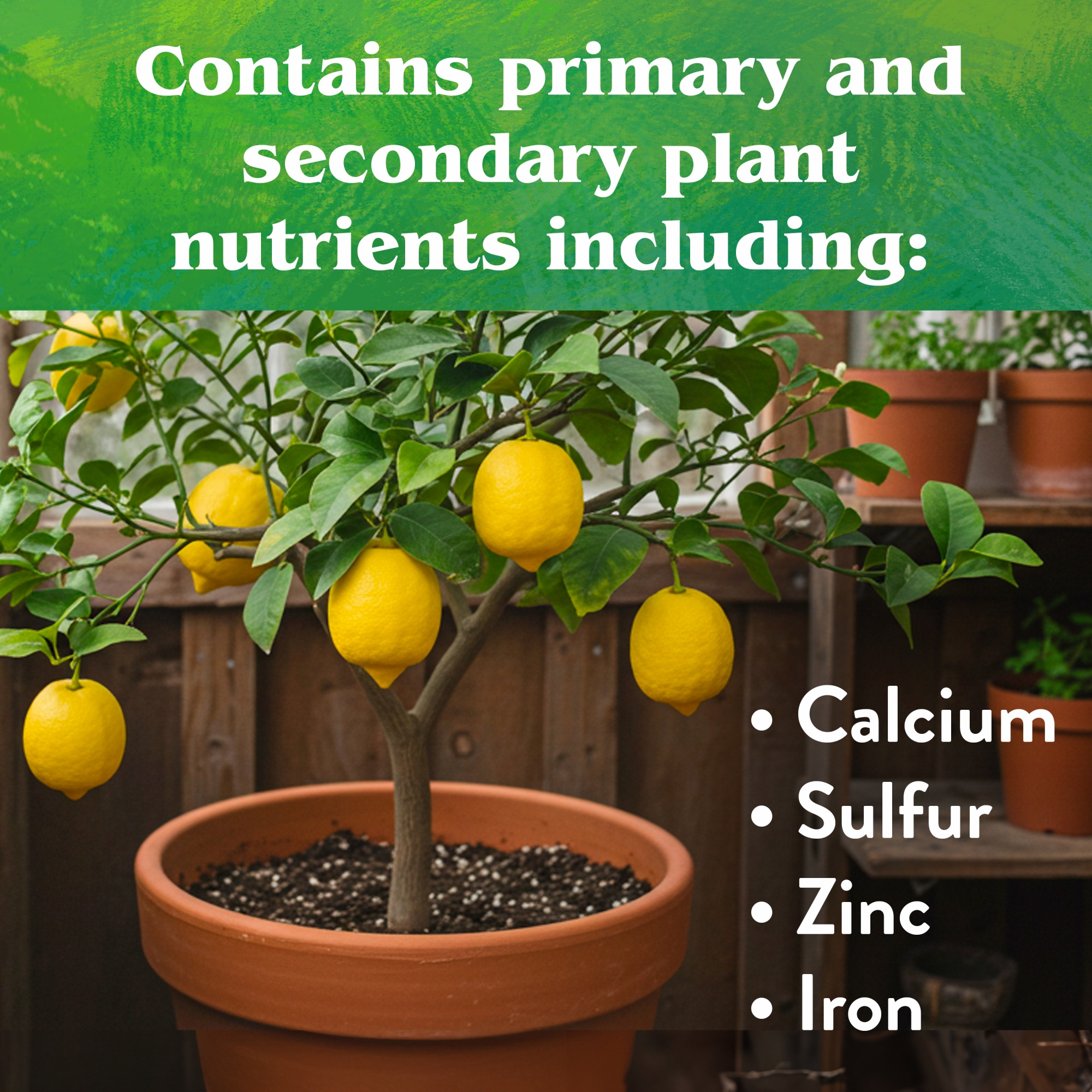 Down To Earth Organic Citrus 6-3-3 All Natural Fertilizer Mix