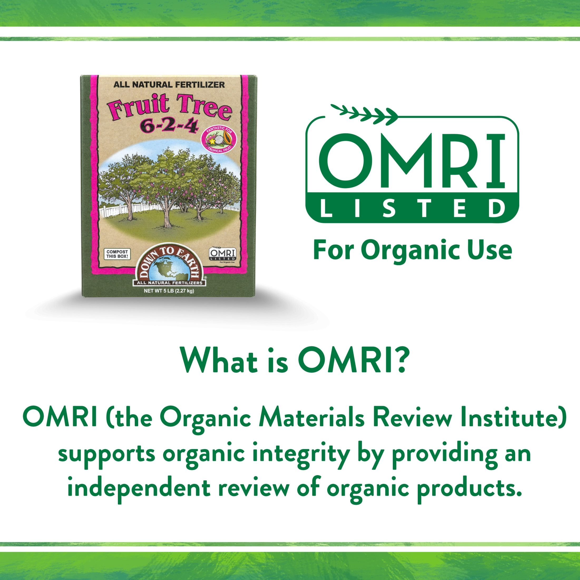Down To Earth Organic Fruit Tree 6-2-4 All-Natural Fertilizer Mix