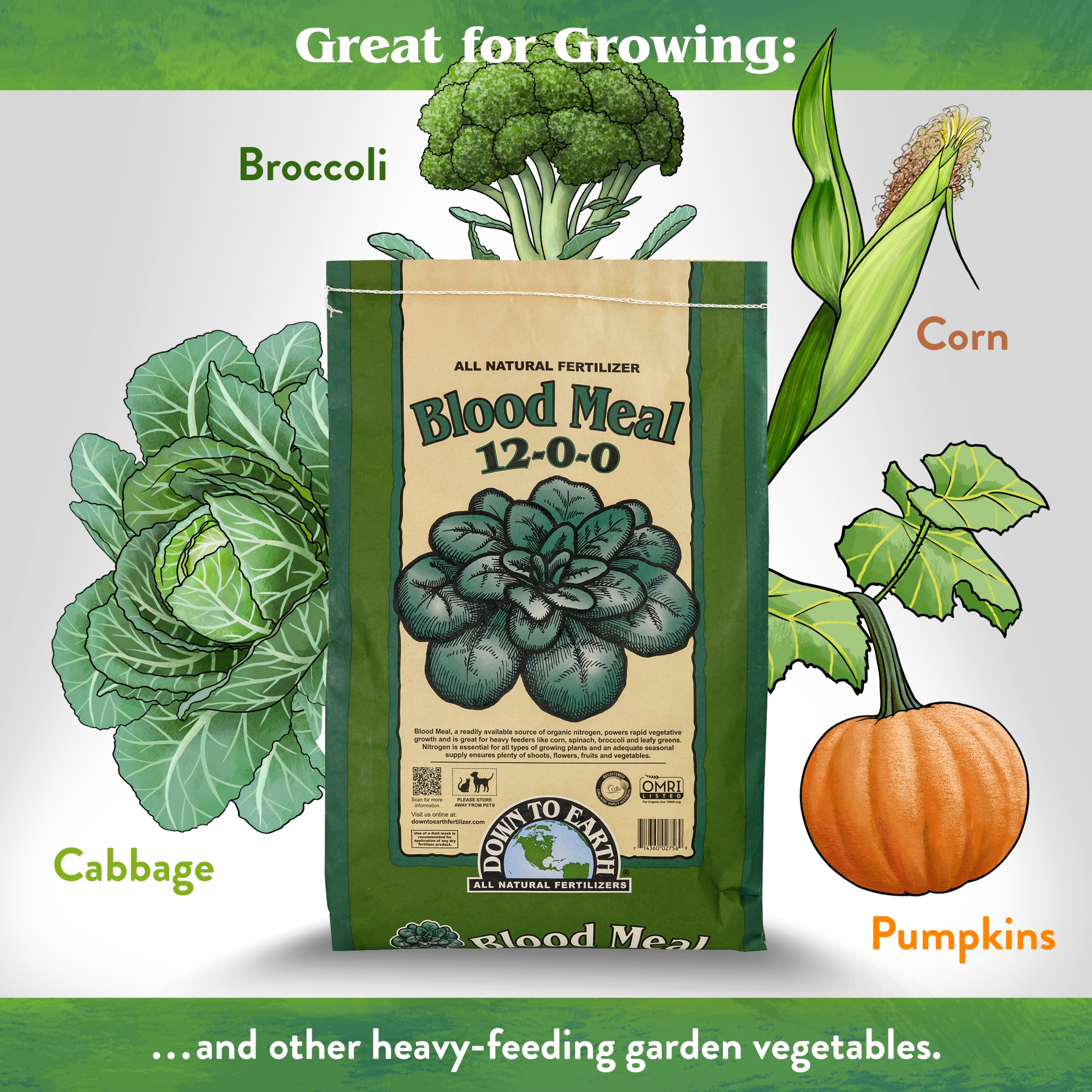 Down To Earth Organic Blood Meal 12-0-0 All-Natural Fertilizer