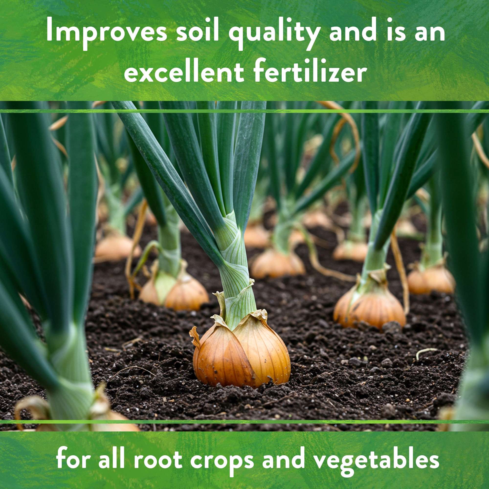 Down To Earth Organic Neem Seed Meal 6-1-2 All-Natural Fertilizer Mix