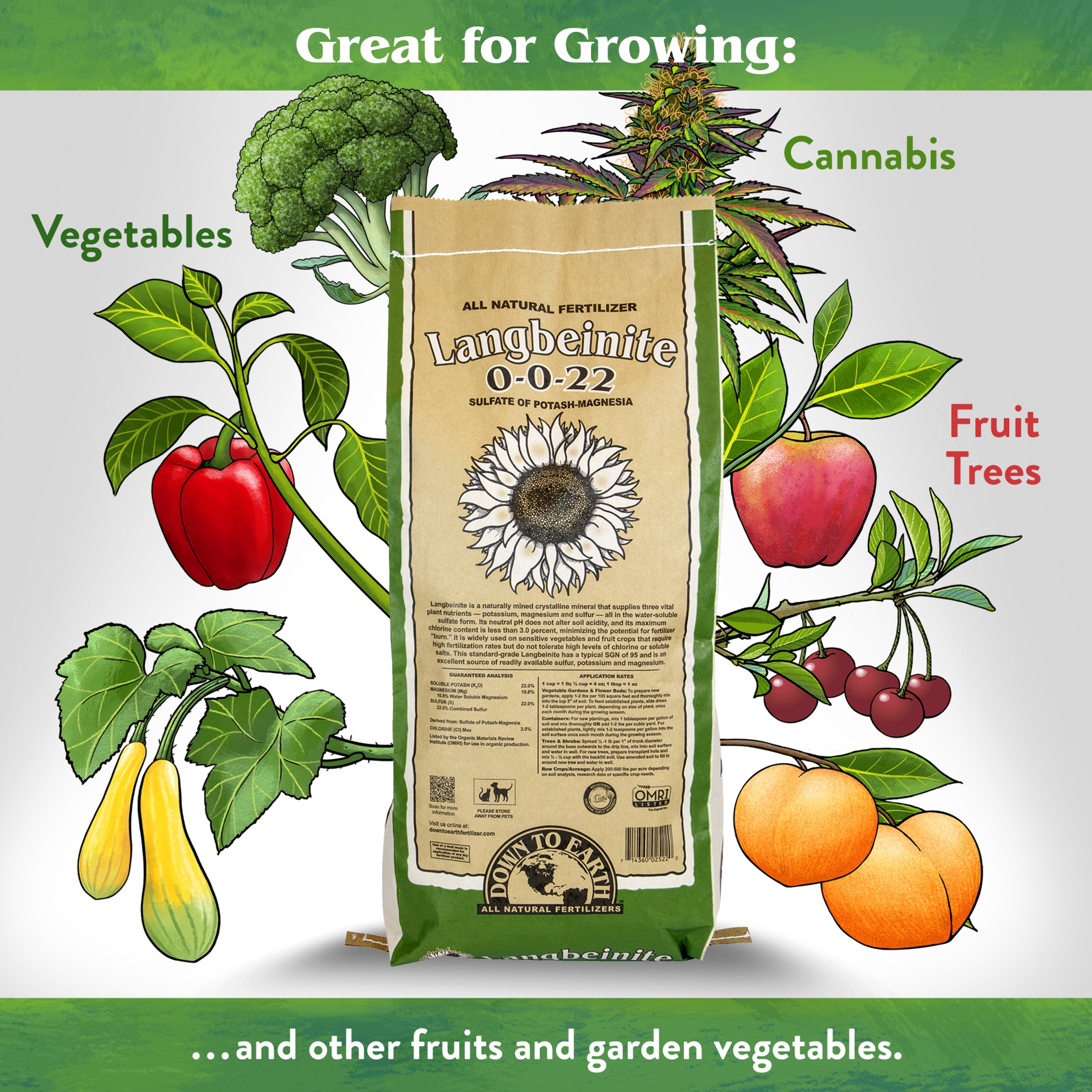 Down To Earth Organic Langbeinite 0-0-22 All-Natural Fertilizer Mix