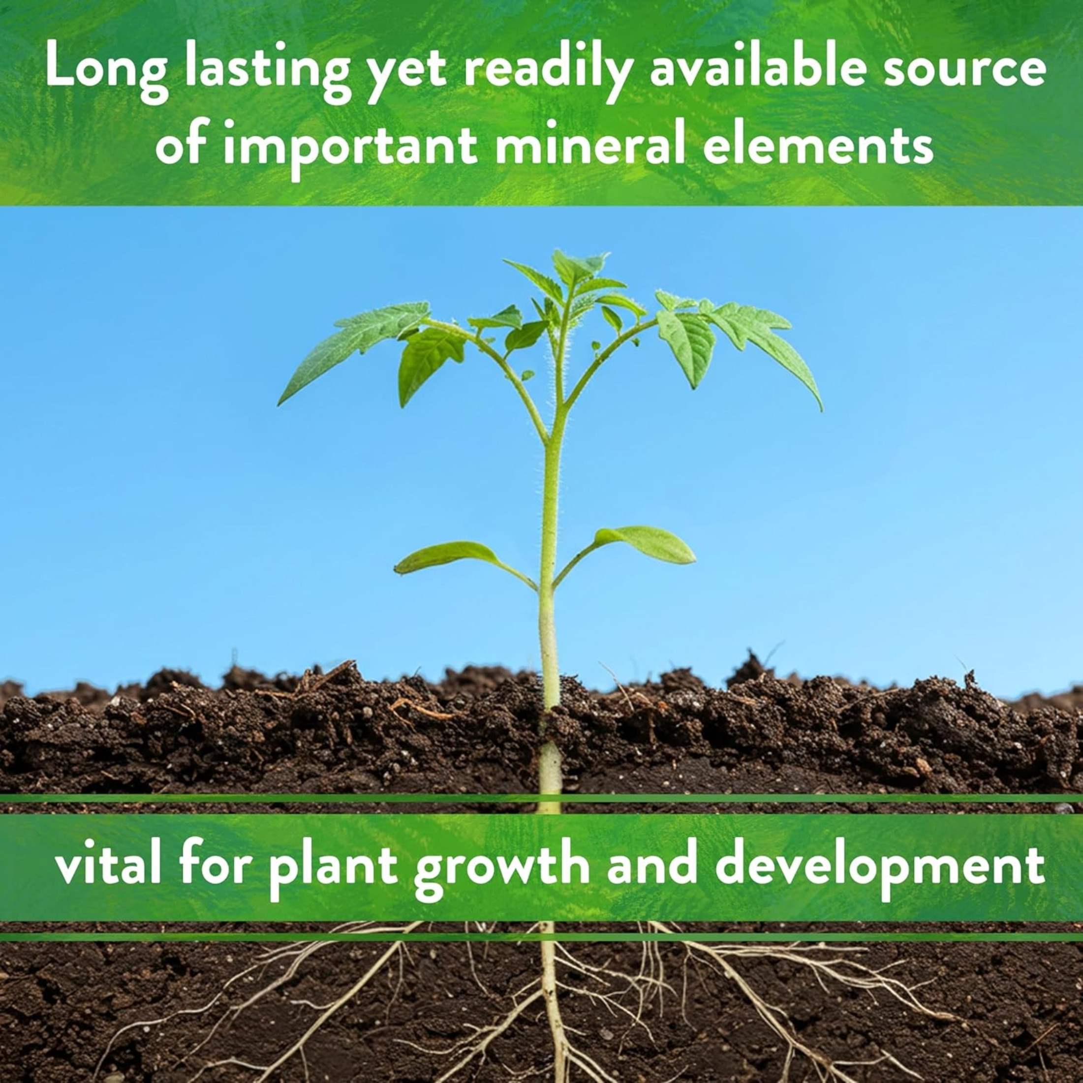 Down To Earth Organic Langbeinite 0-0-22 All-Natural Fertilizer Mix