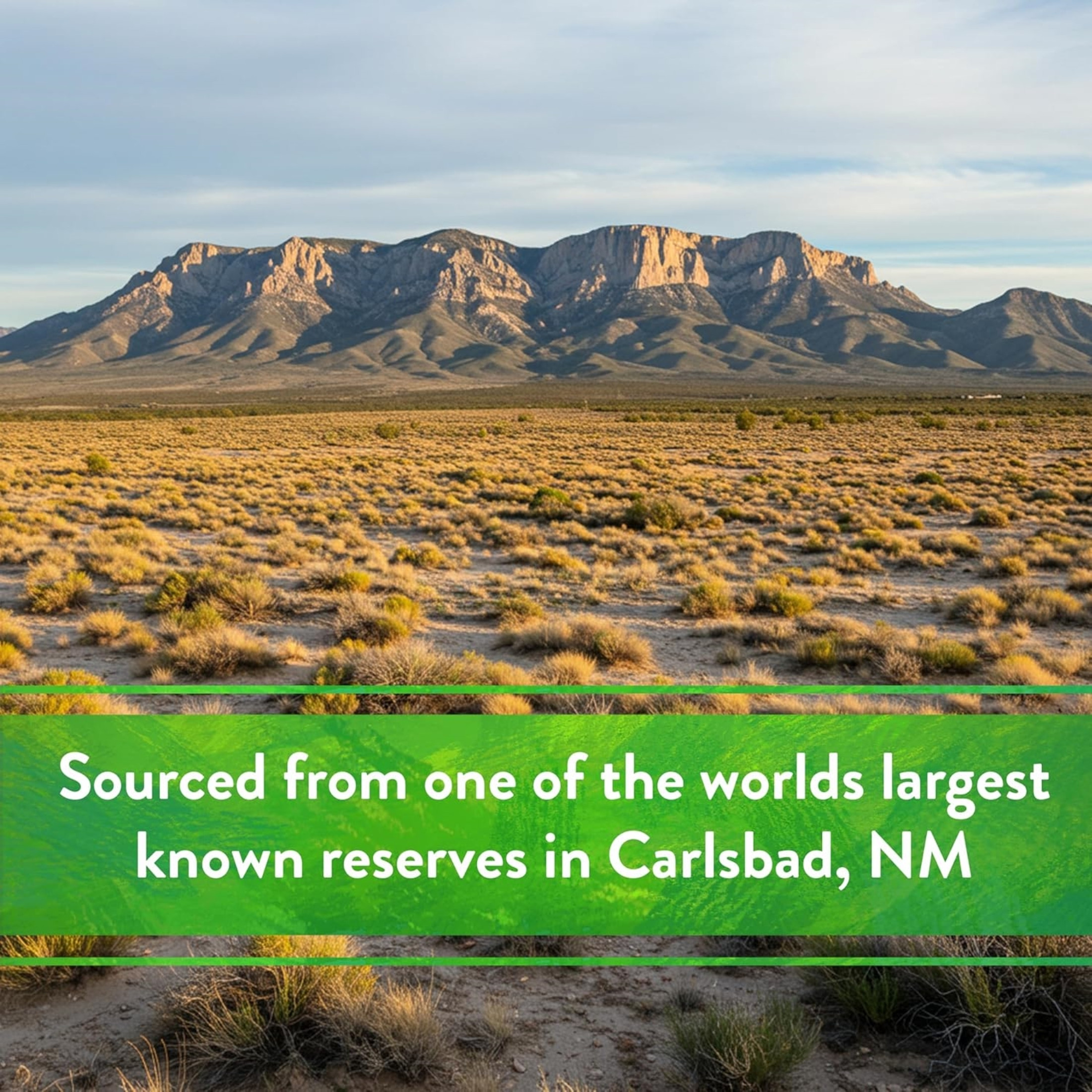 Down To Earth Organic Langbeinite 0-0-22 All-Natural Fertilizer Mix