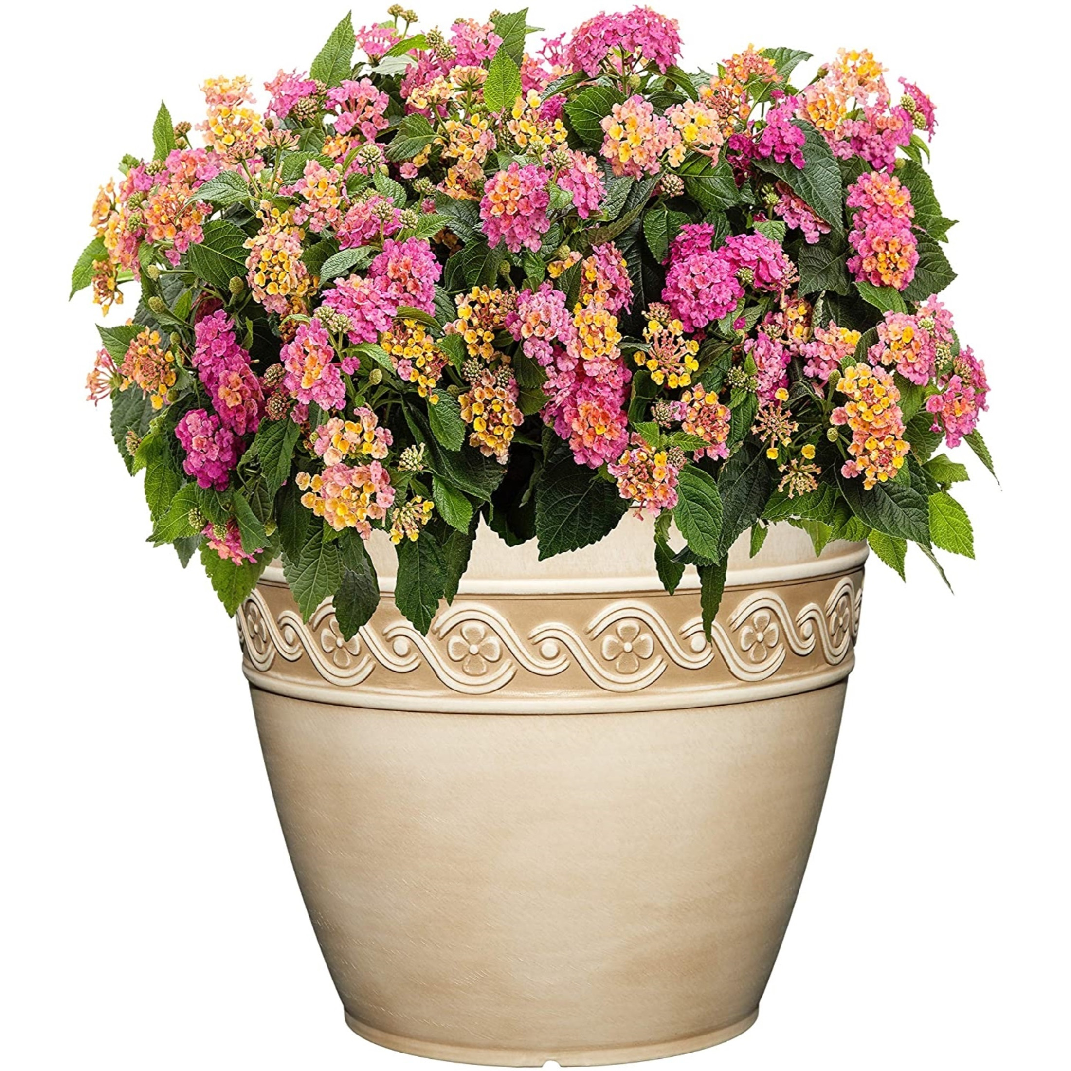 Classic Home and Garden Indoor/Outdoor Round Corinthian Resin Flower Pot Round Planter, Desert Tan, 8"