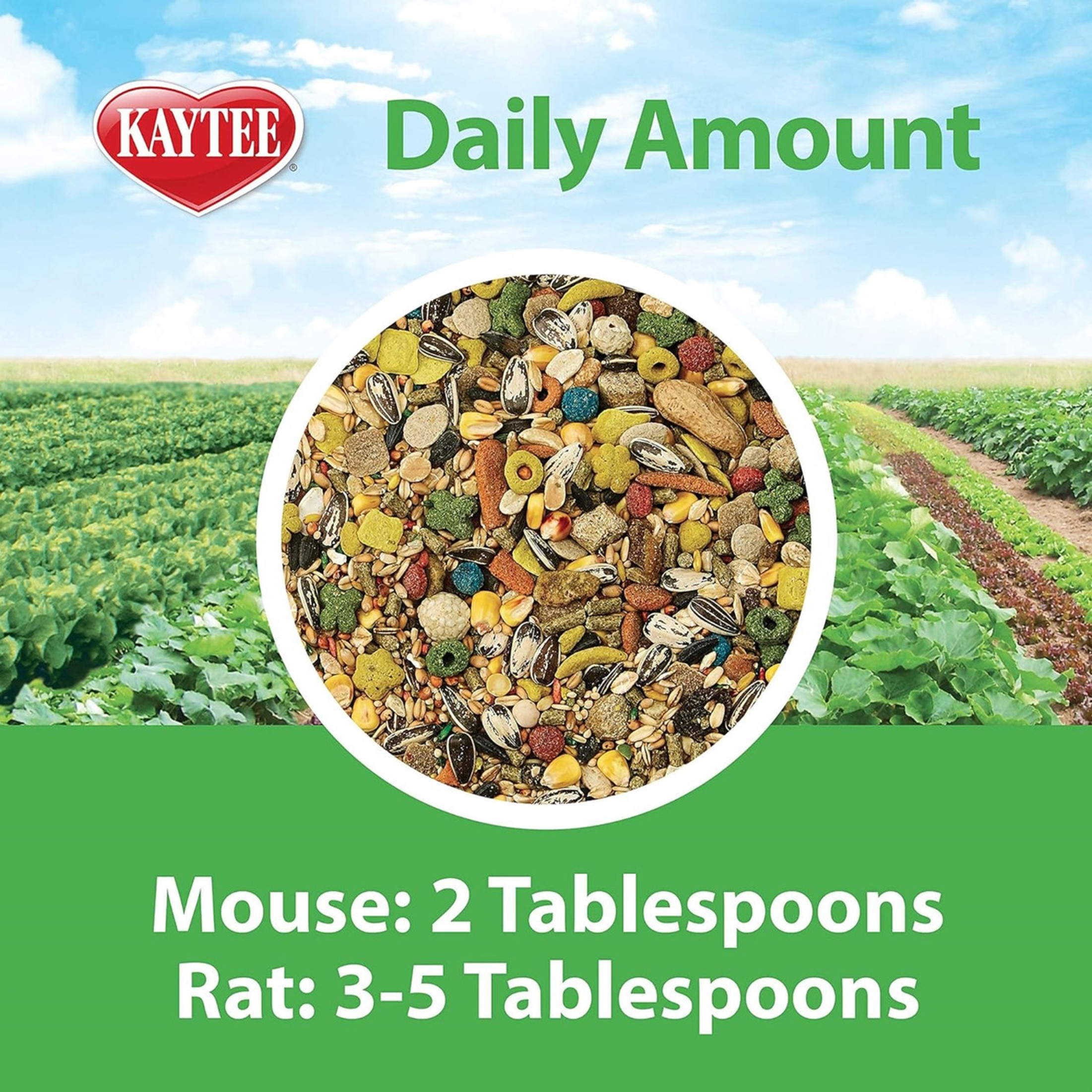 Kaytee Fiesta Pet Mouse and Rat Food, 4.5lb Bag
