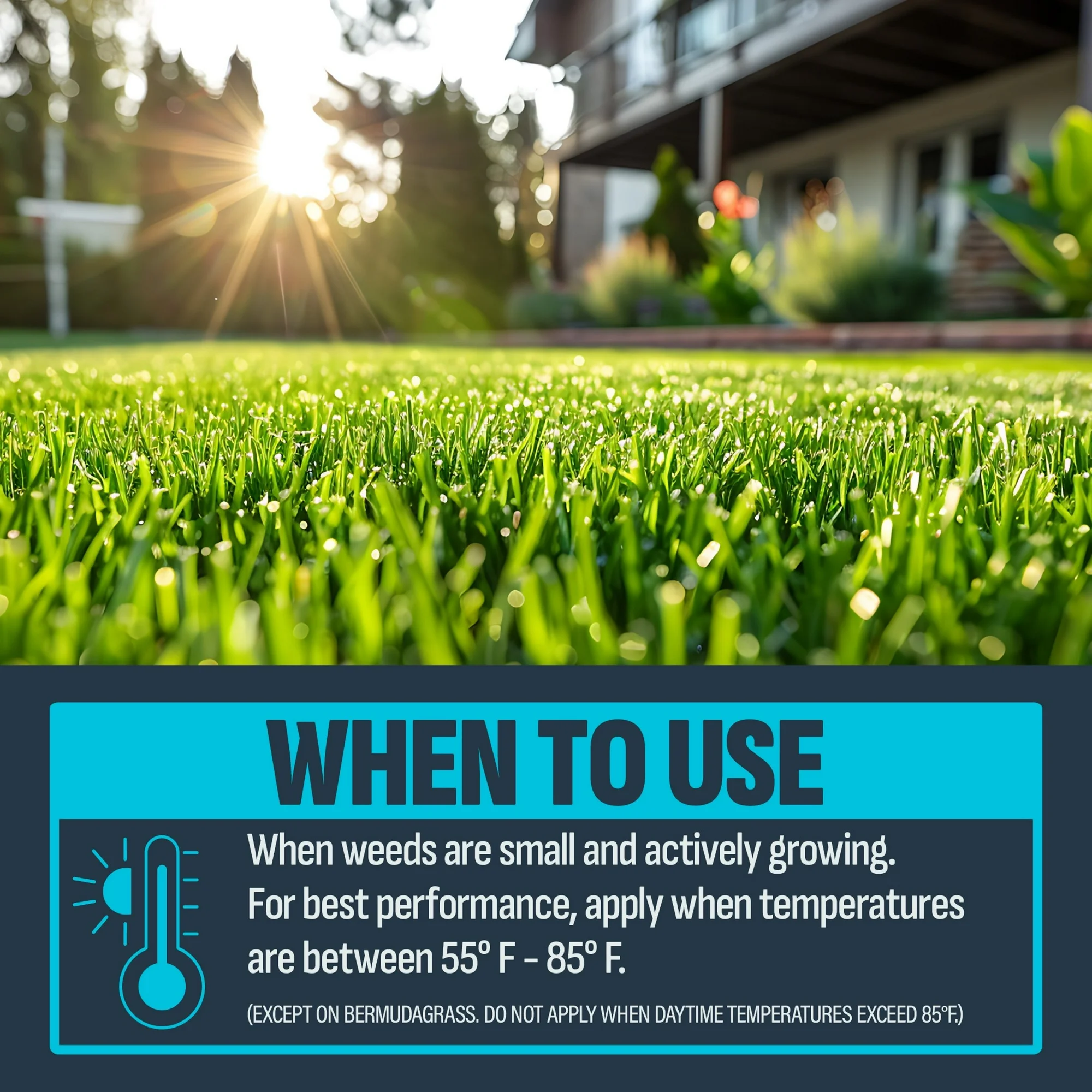 IMAGE Crabgrass, Nutsedge & Weed Killer For Lawns Concentrate, 24oz