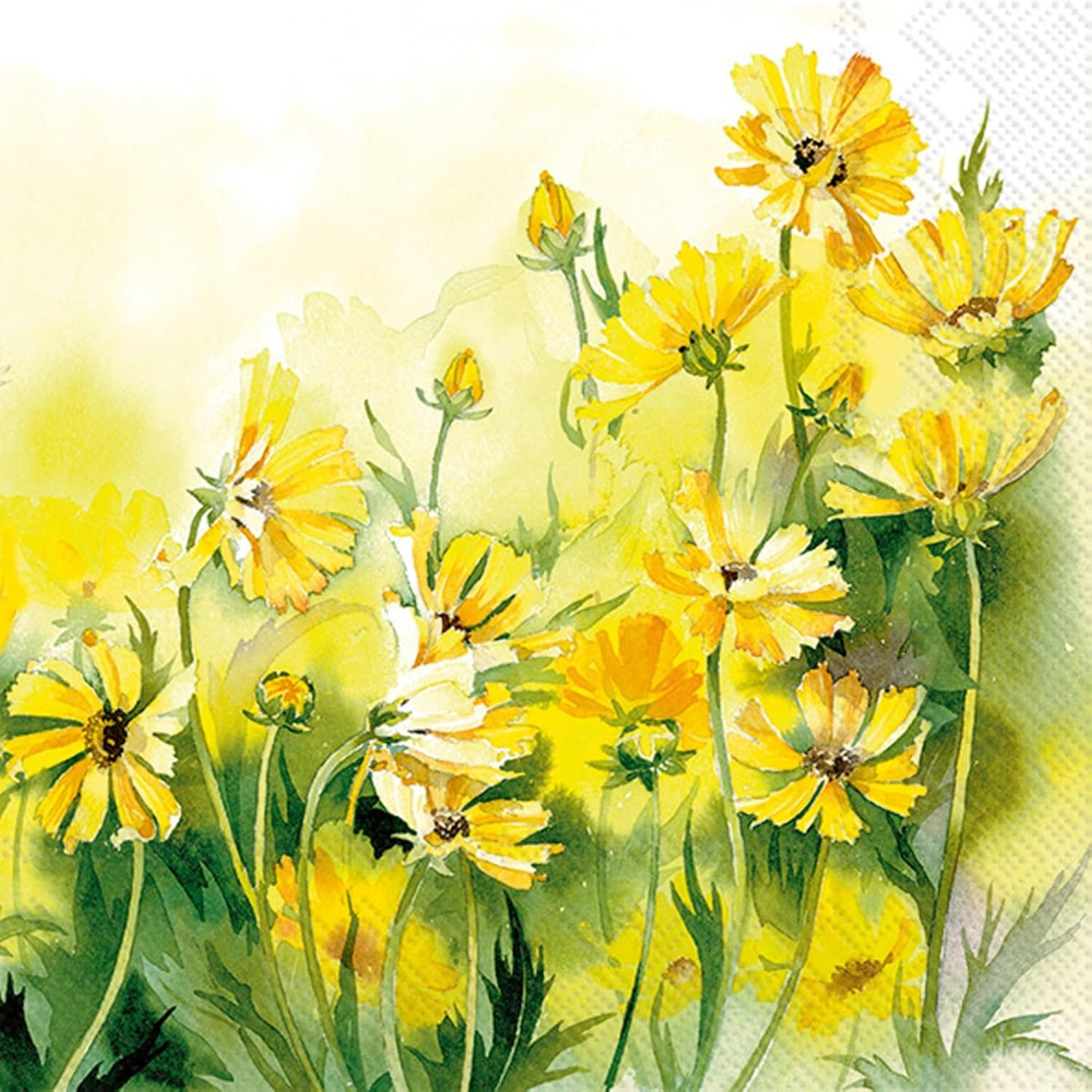 Boston International IHR 3-Ply Paper Lunch Napkins, 6.5" x 6.5", Sunny Wildflowers (Pack of 20)